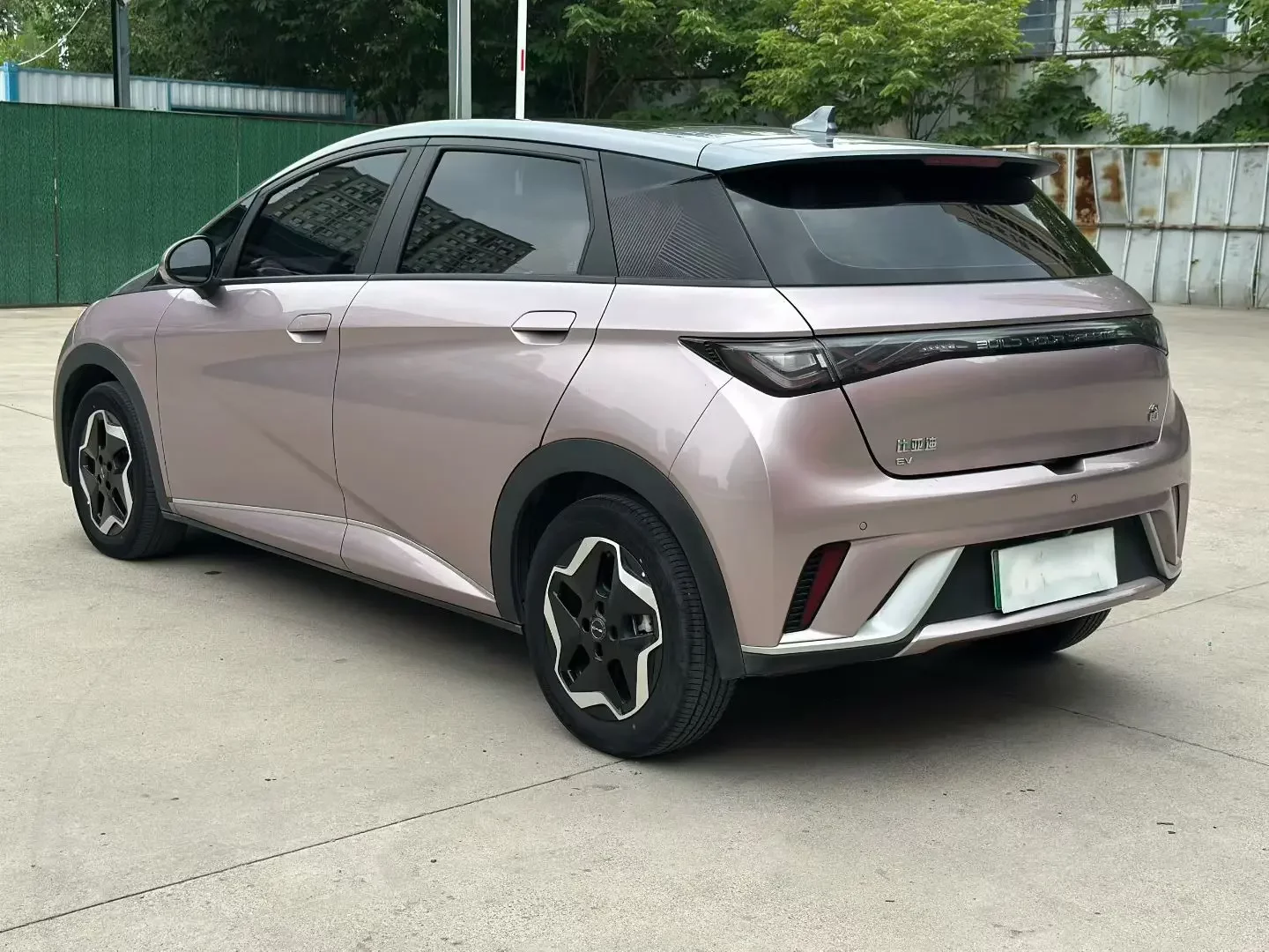 BYD dolphin