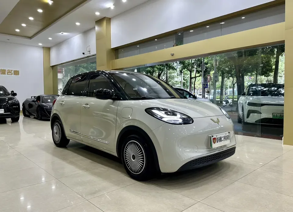 Wuling Bingo