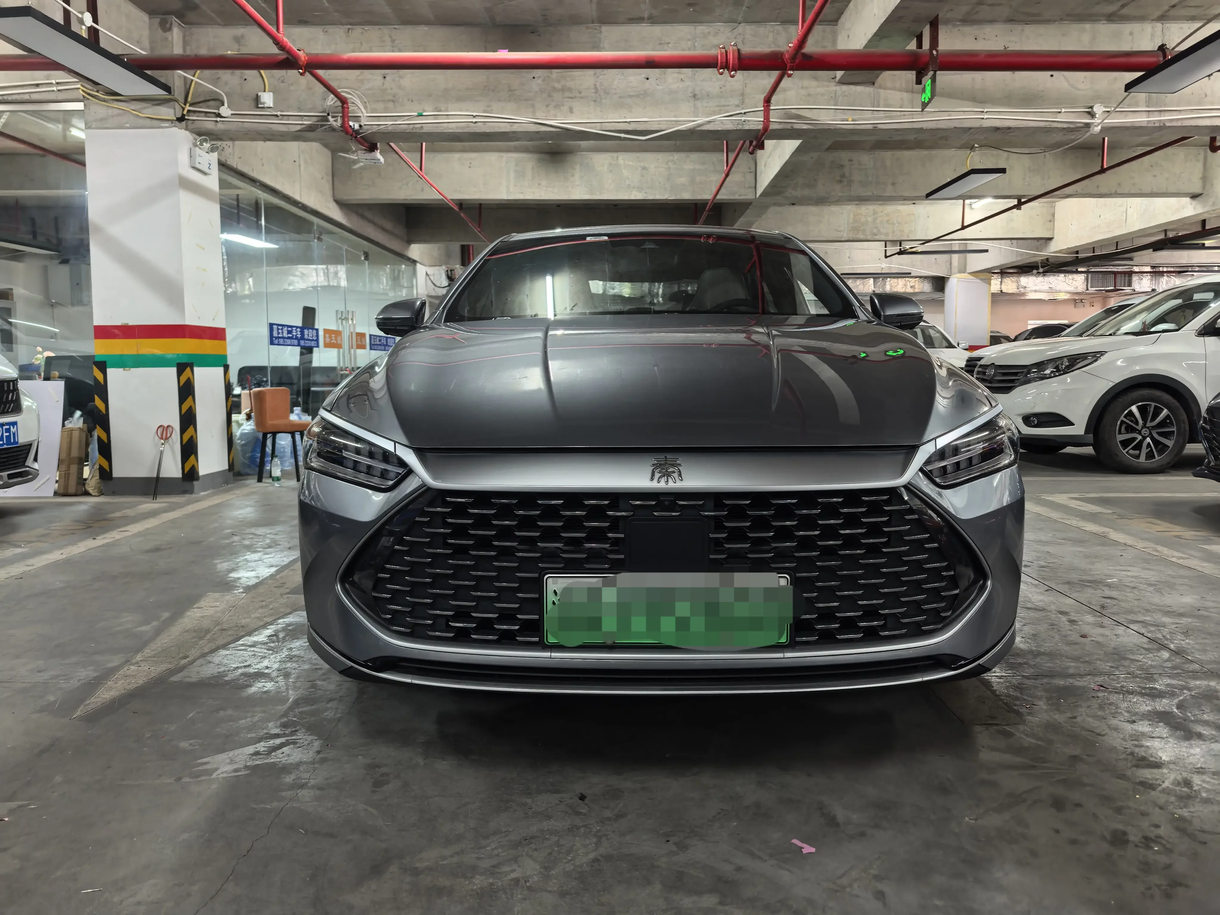 BYD Qin PLUS DM
