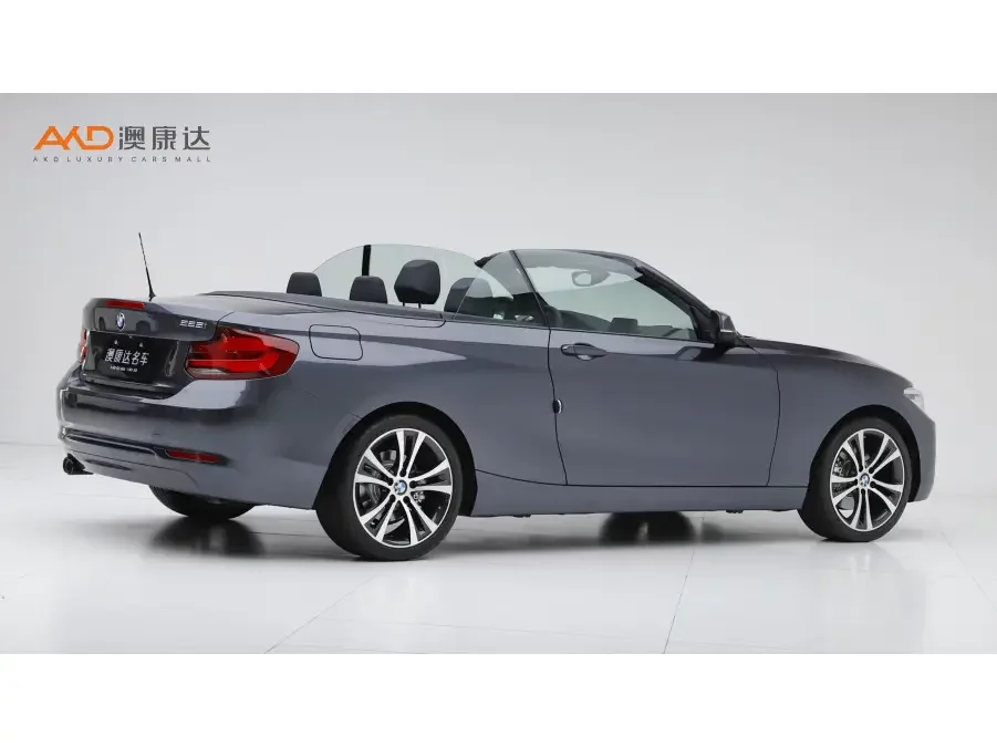BMW 2 Series