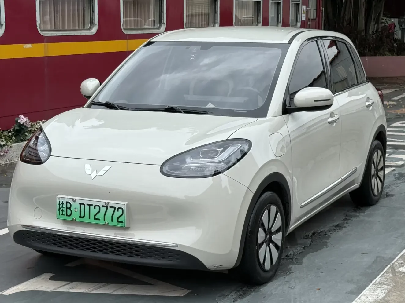 Wuling Bingo