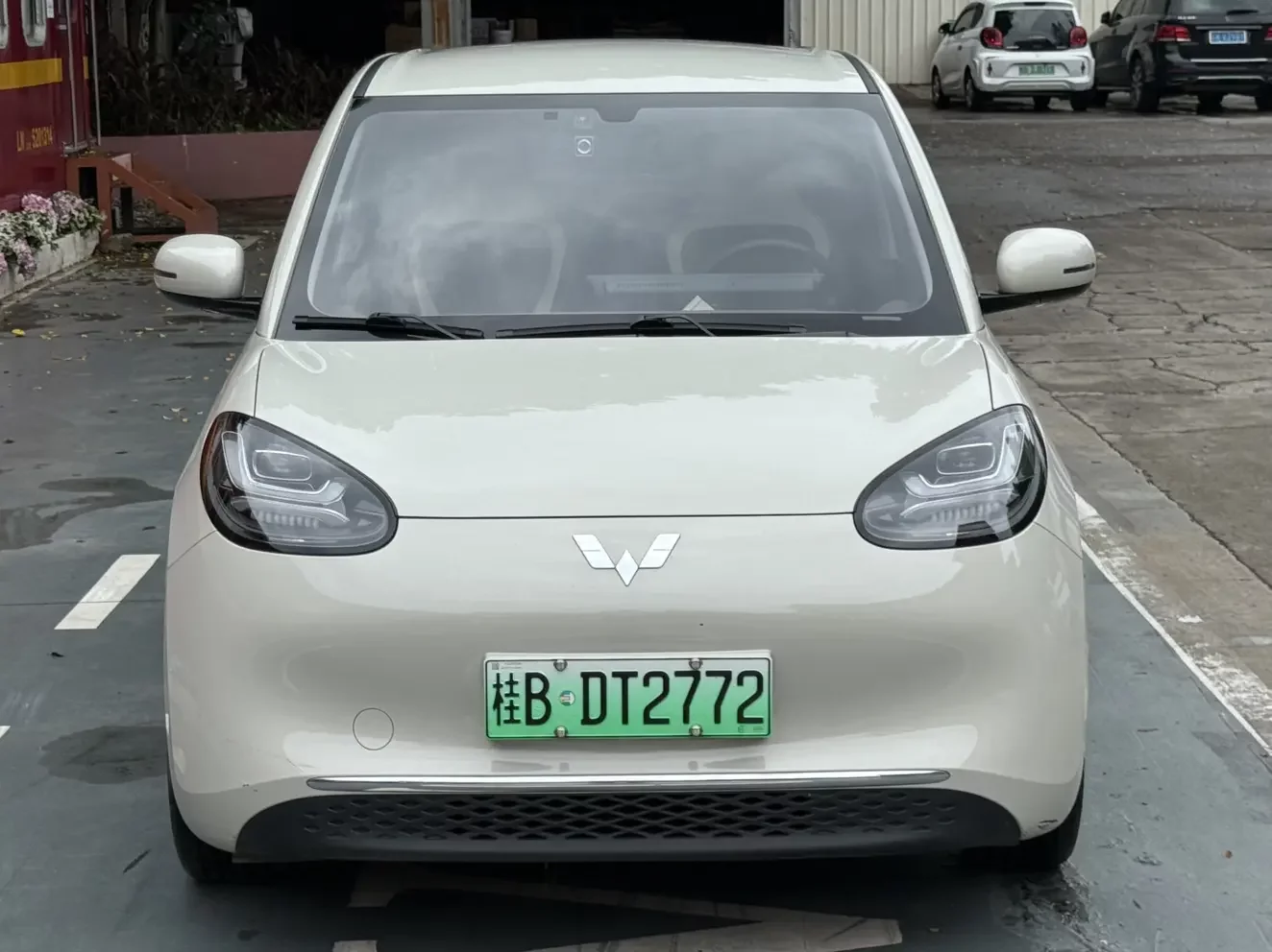 Wuling Bingo