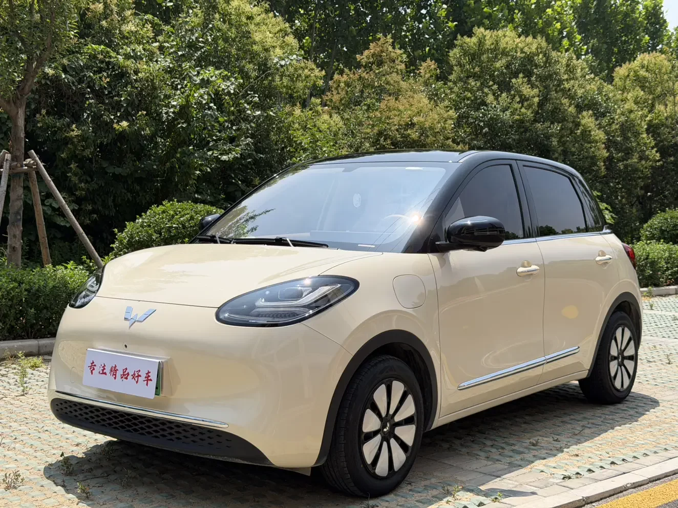Wuling Bingo