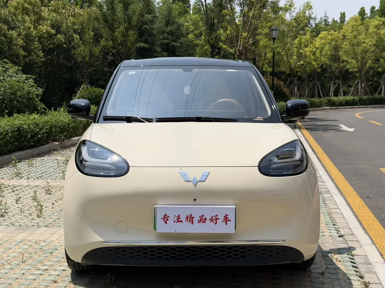 Wuling Bingo