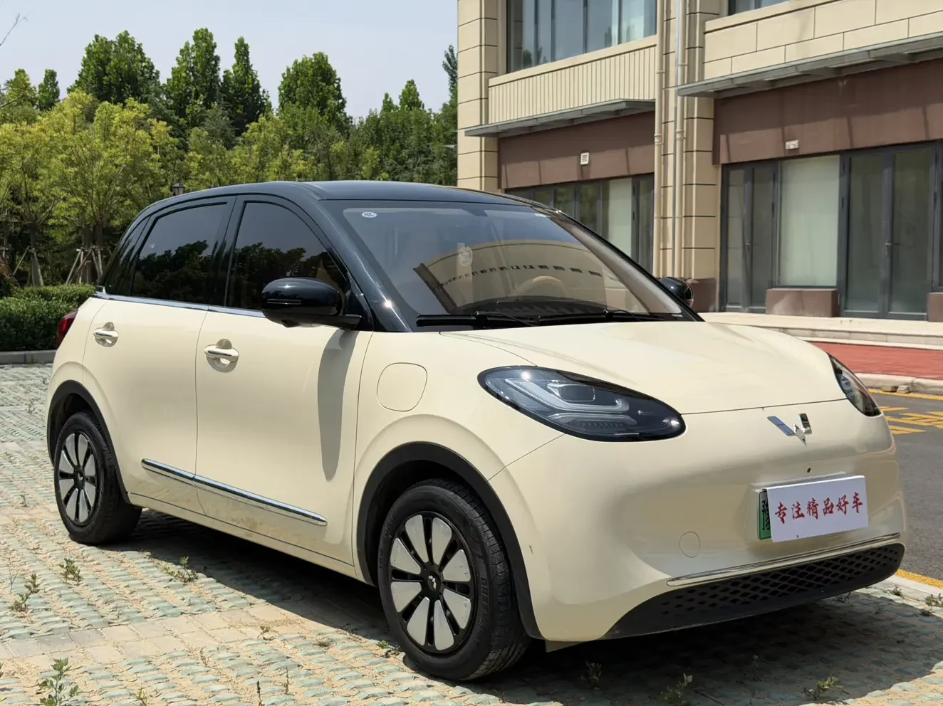 Wuling Bingo