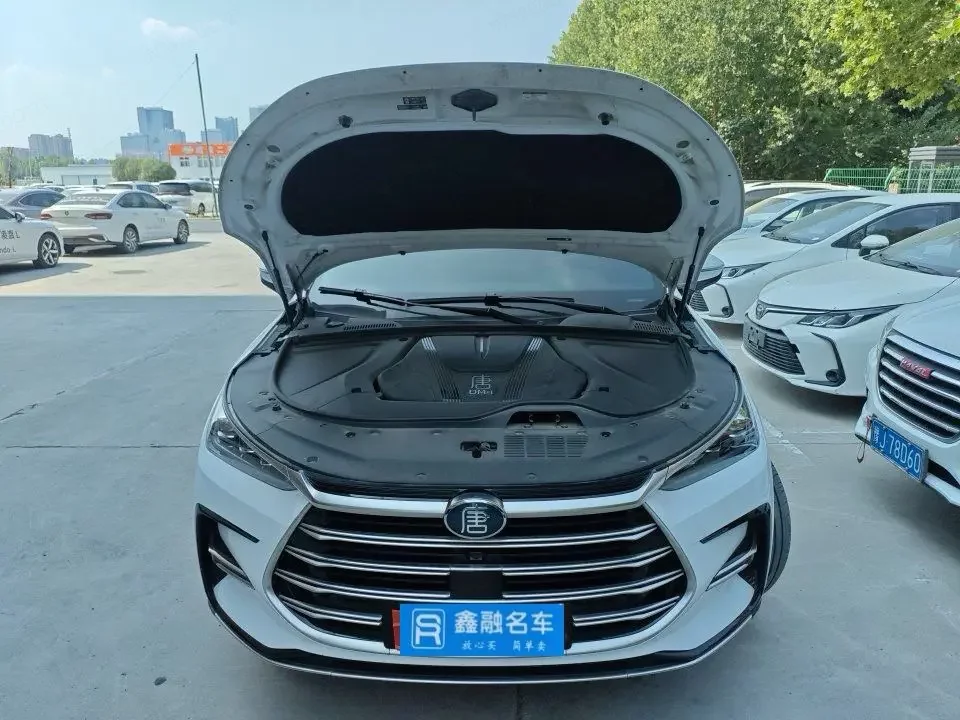 BYD Tang DM