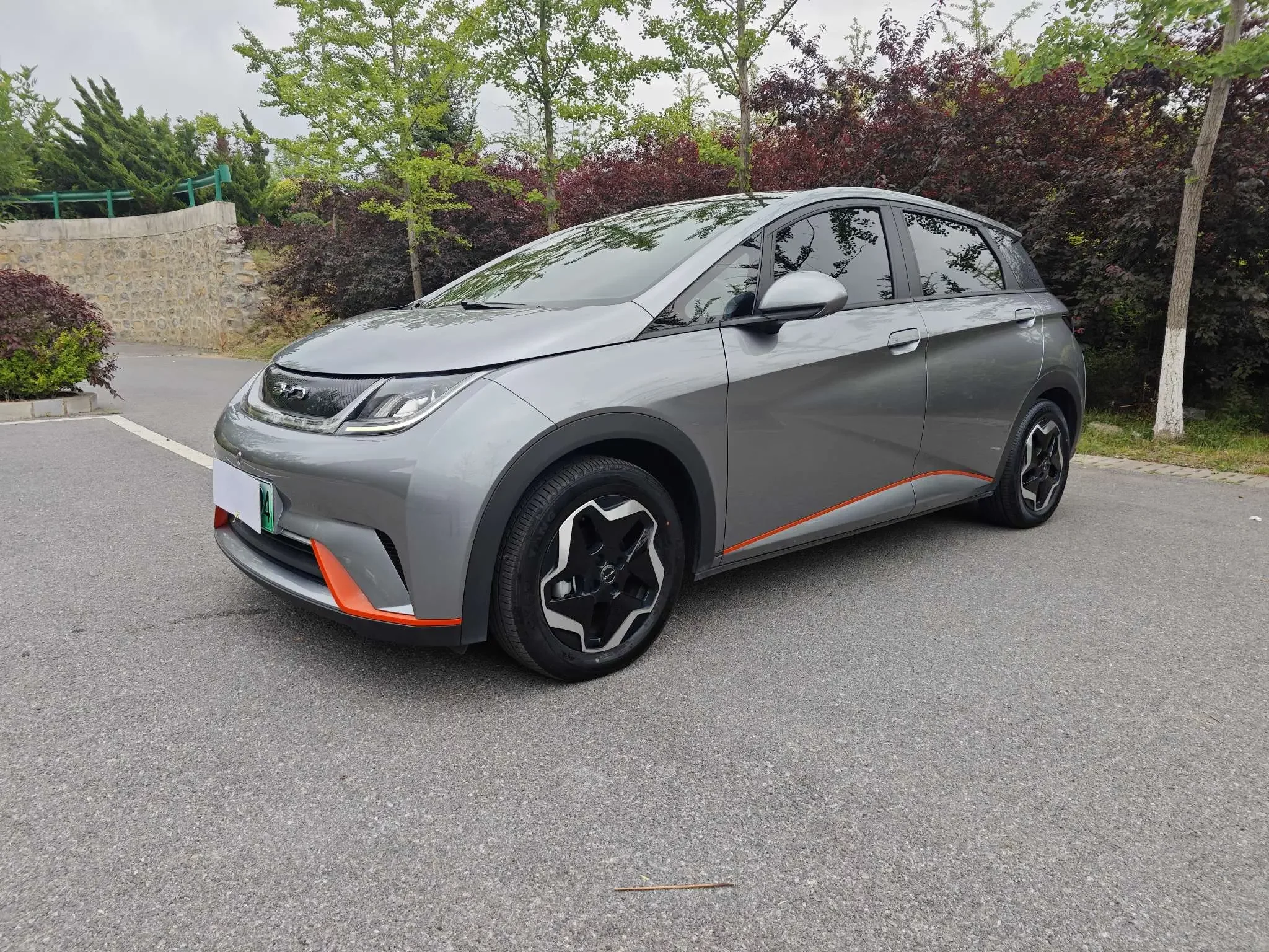 BYD dolphin