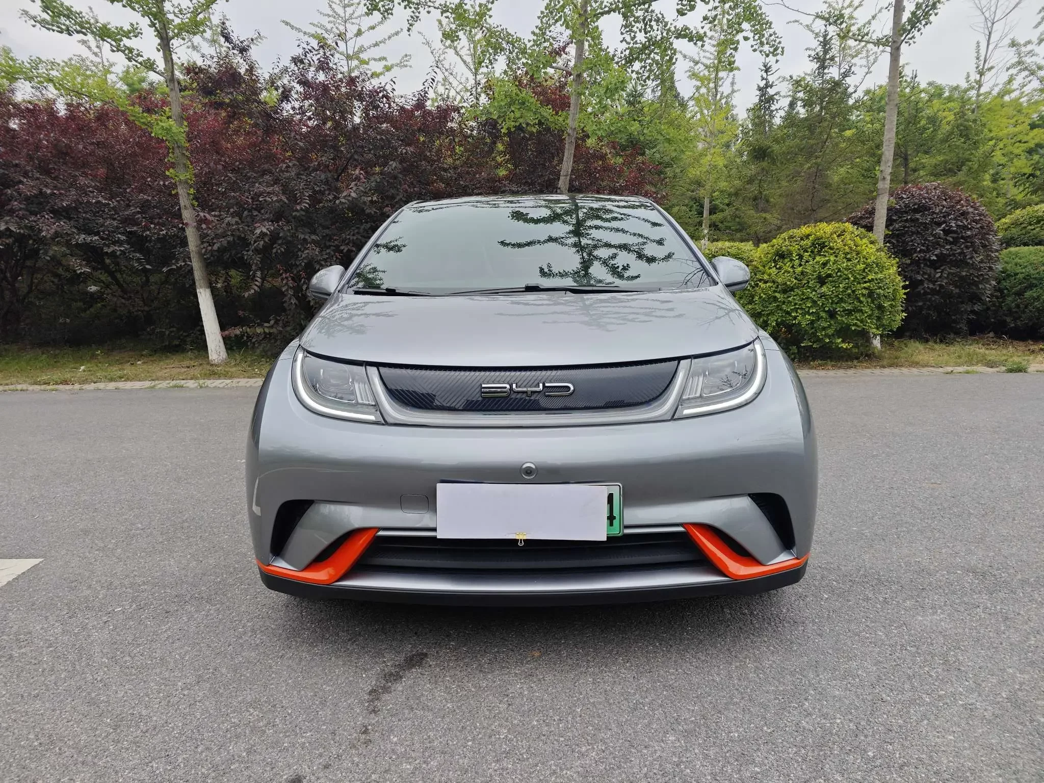 BYD dolphin