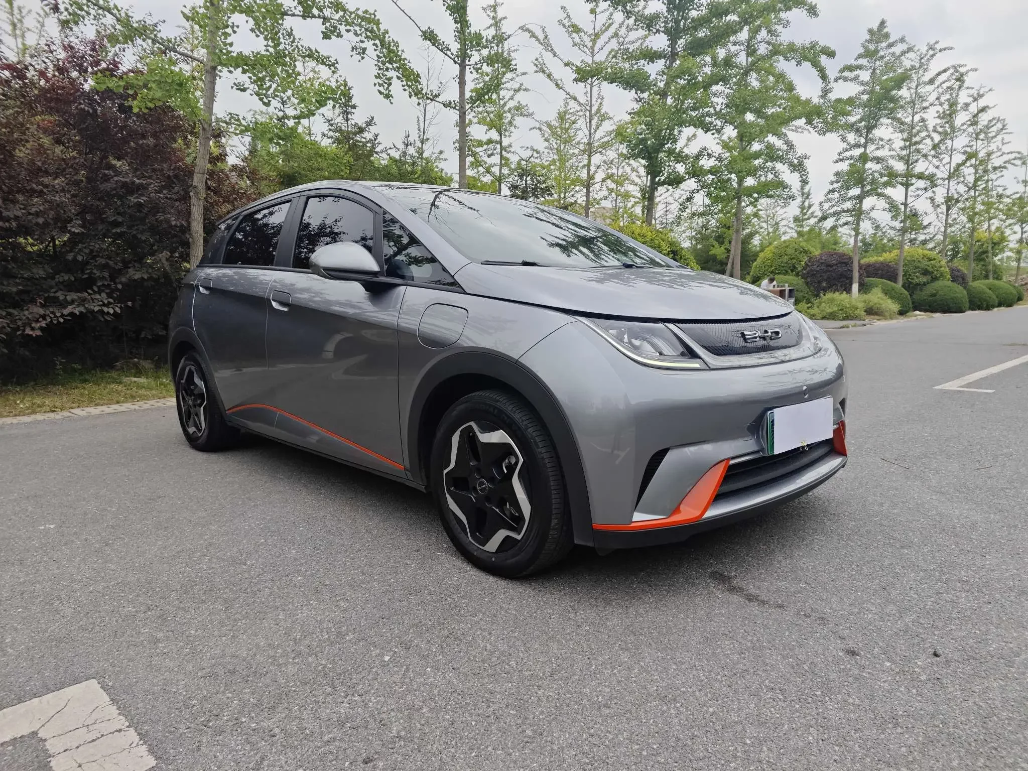 BYD dolphin