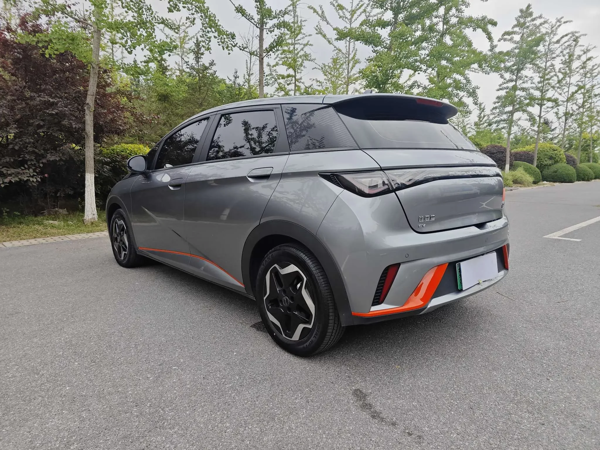 BYD dolphin