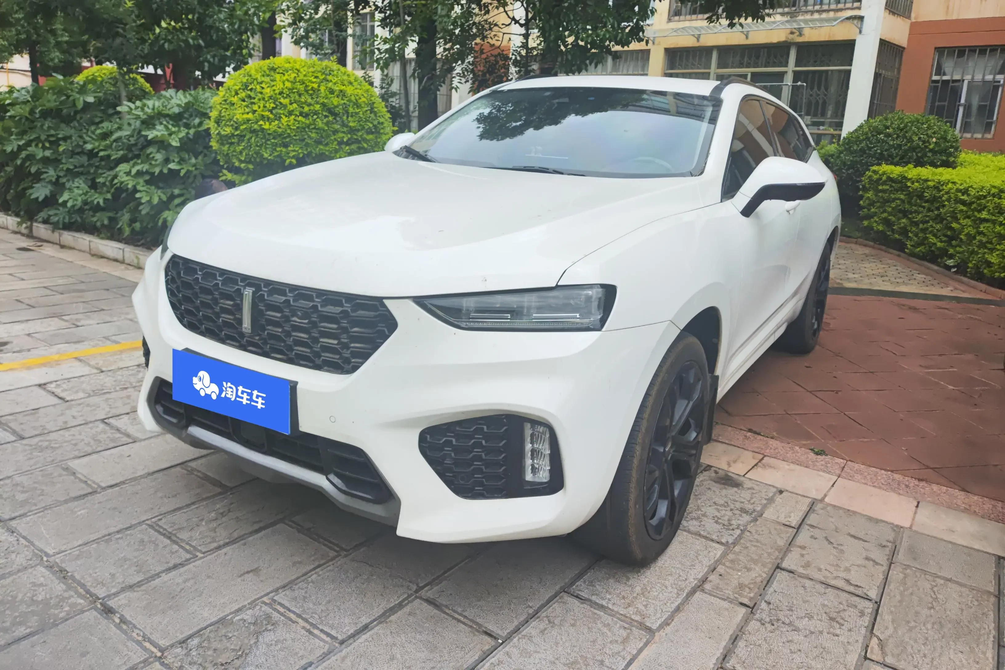 Wey Wei brand VV7