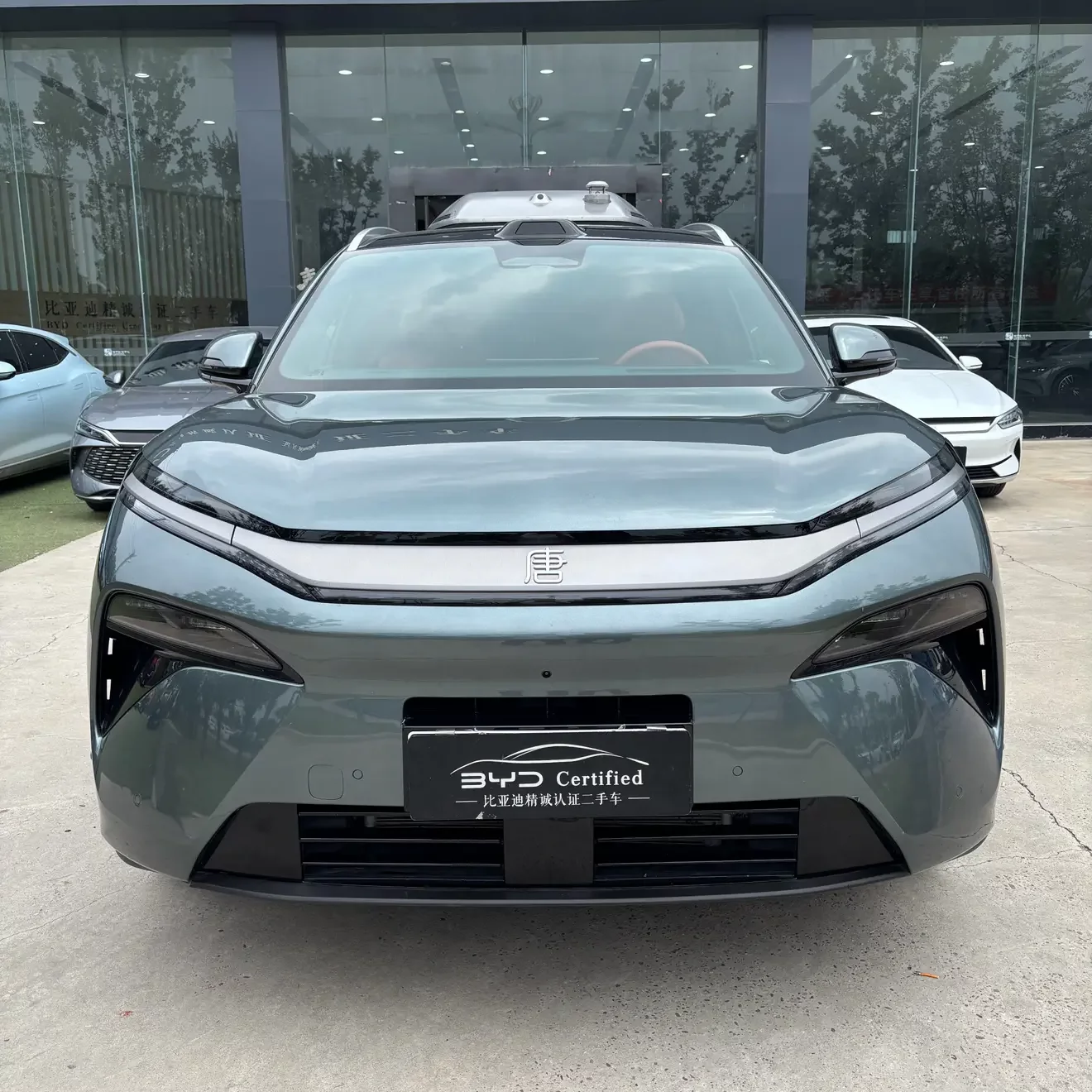 BYD Tang L DM