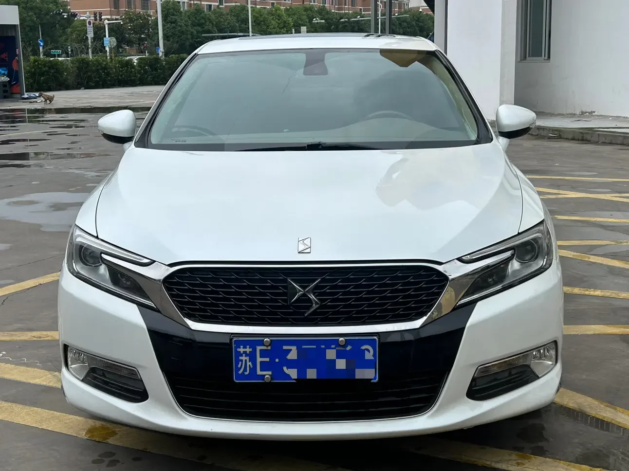 DS 5LS