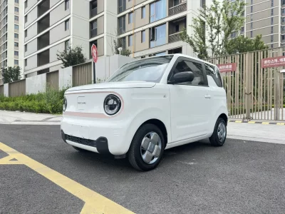 Geely panda