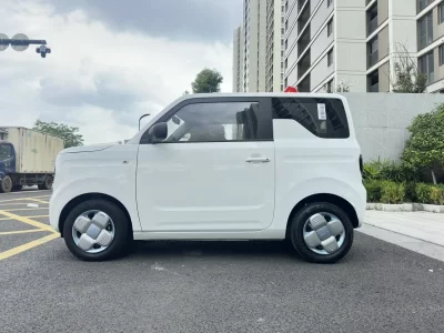 Geely panda