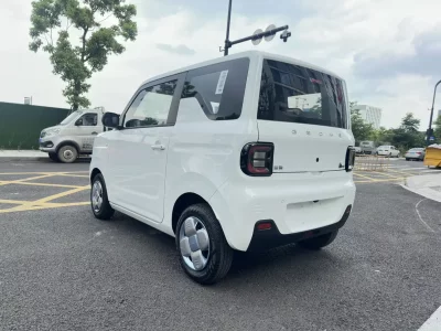 Geely panda