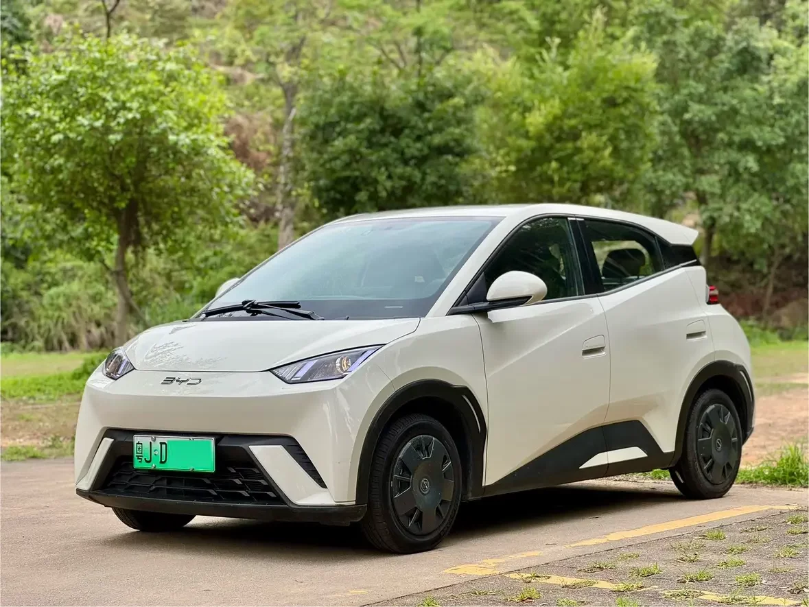 BYD seagull