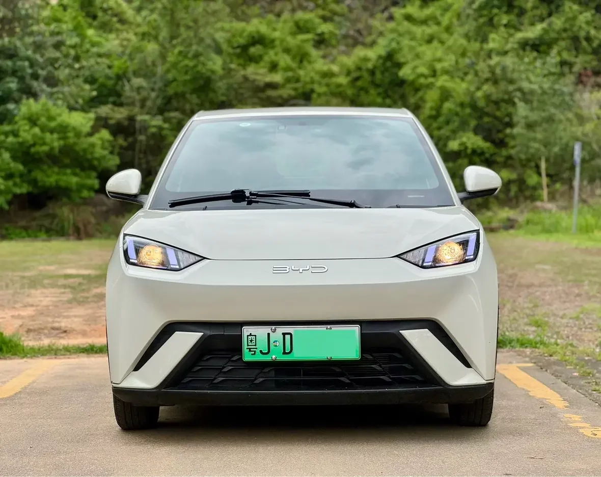 BYD seagull