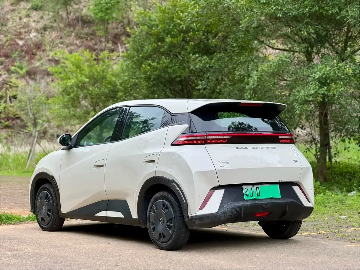 BYD seagull