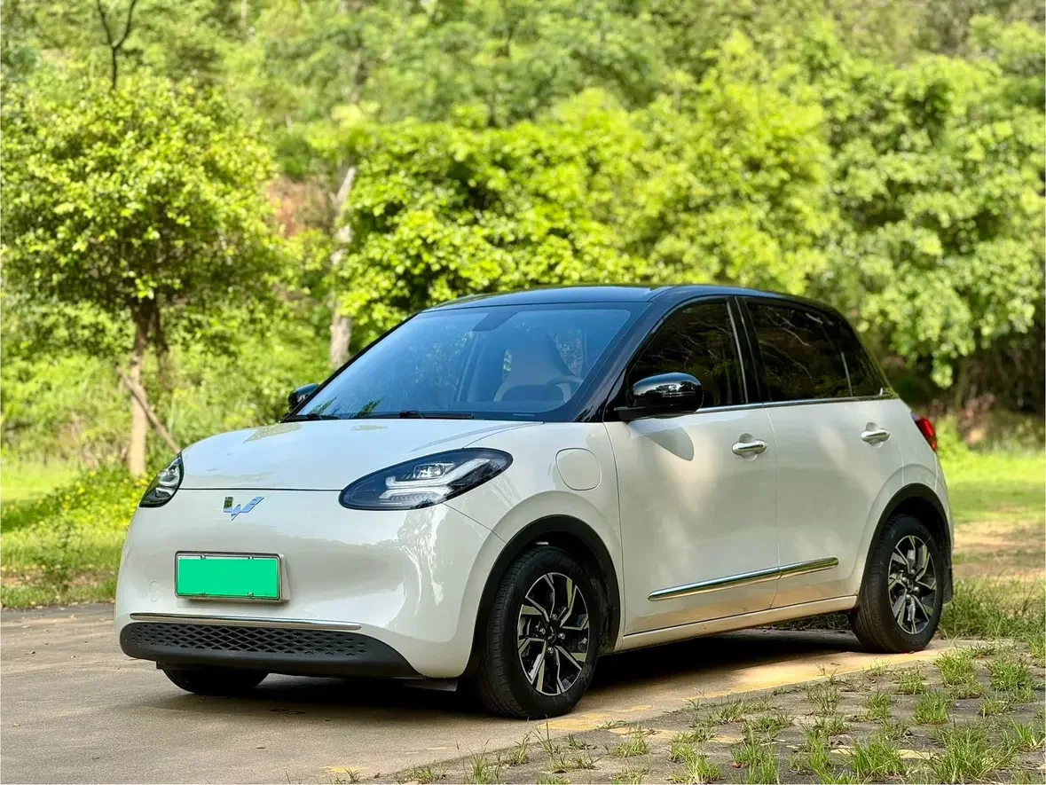 Wuling Bingo