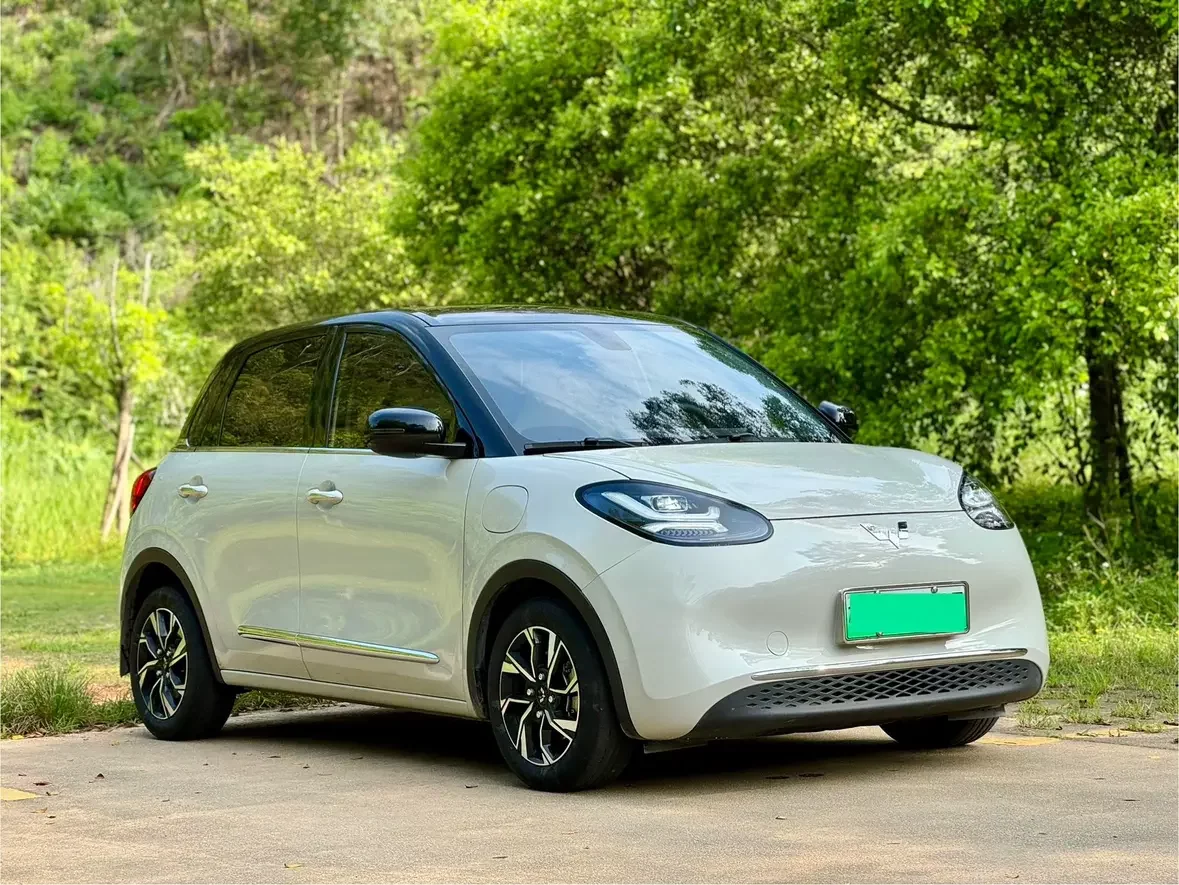 Wuling Bingo