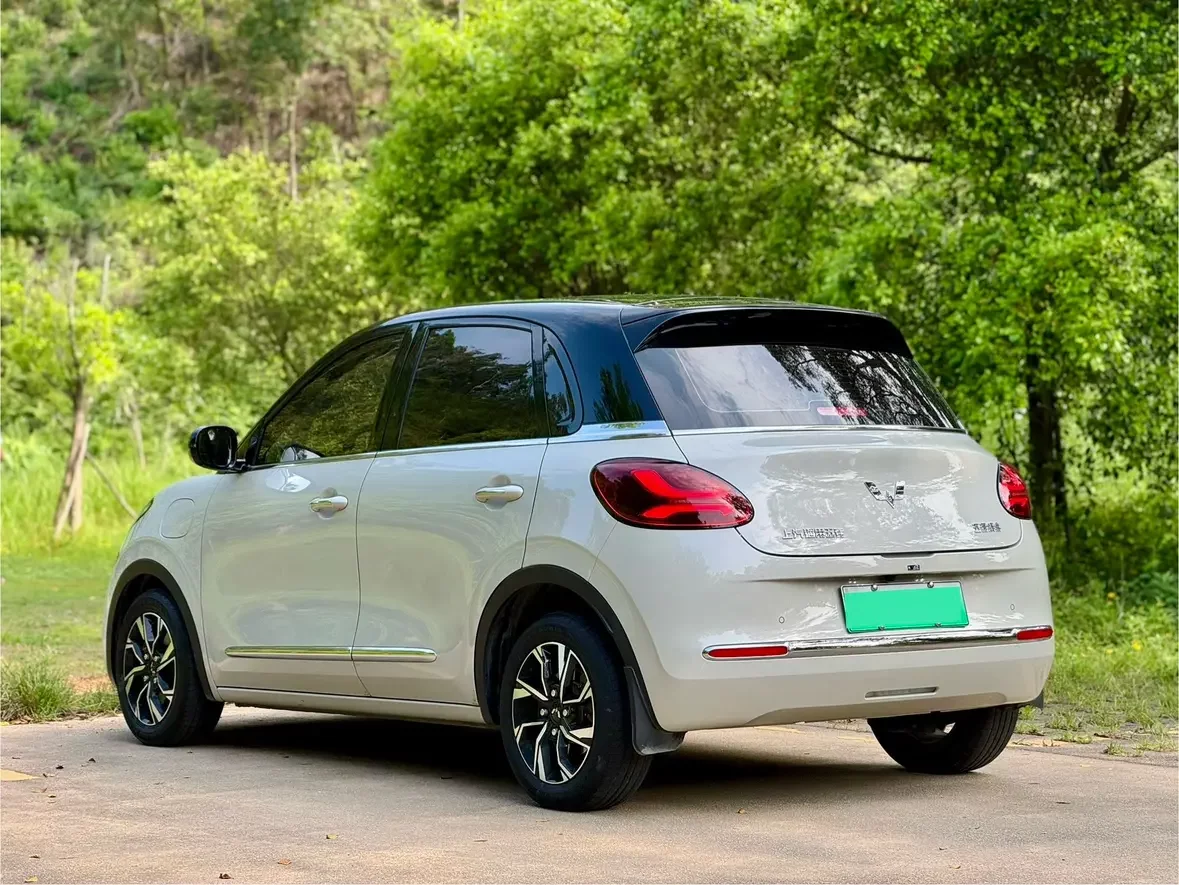 Wuling Bingo