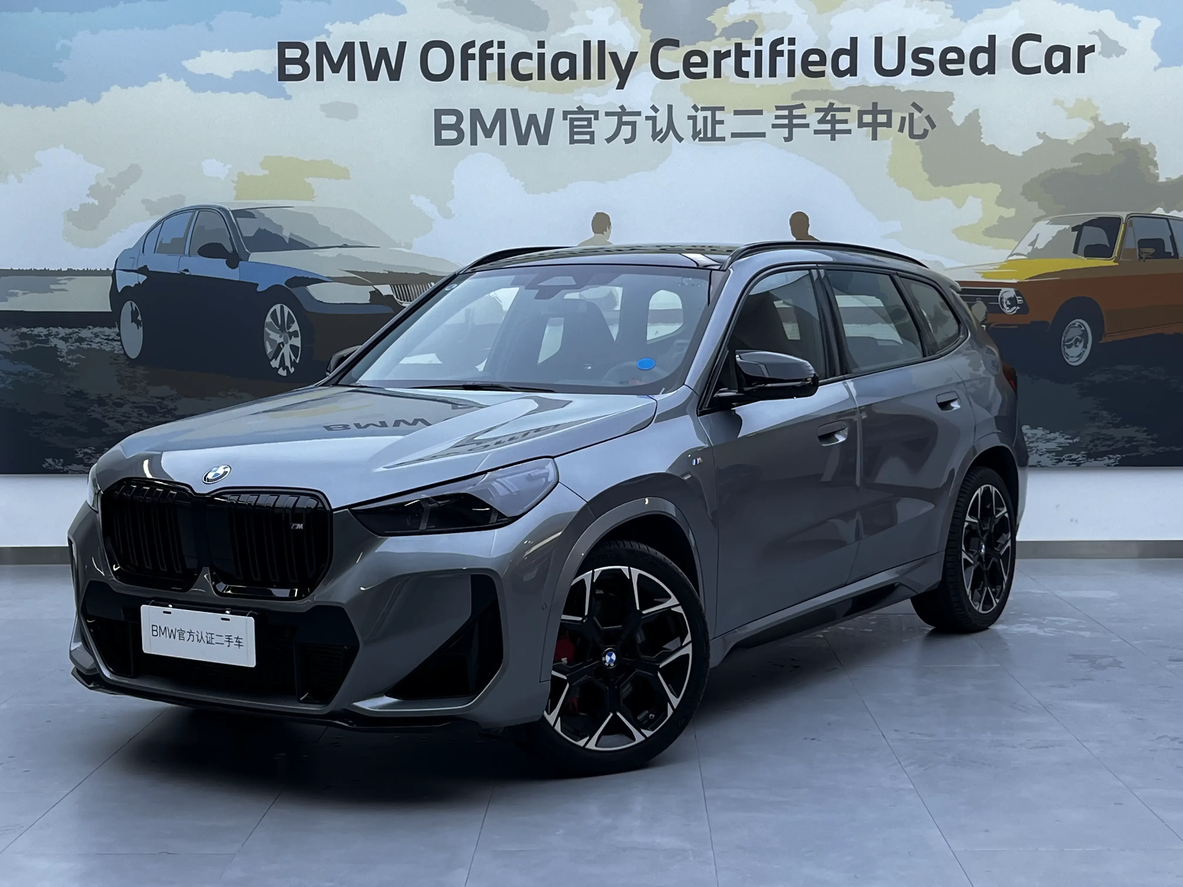 BMW X1