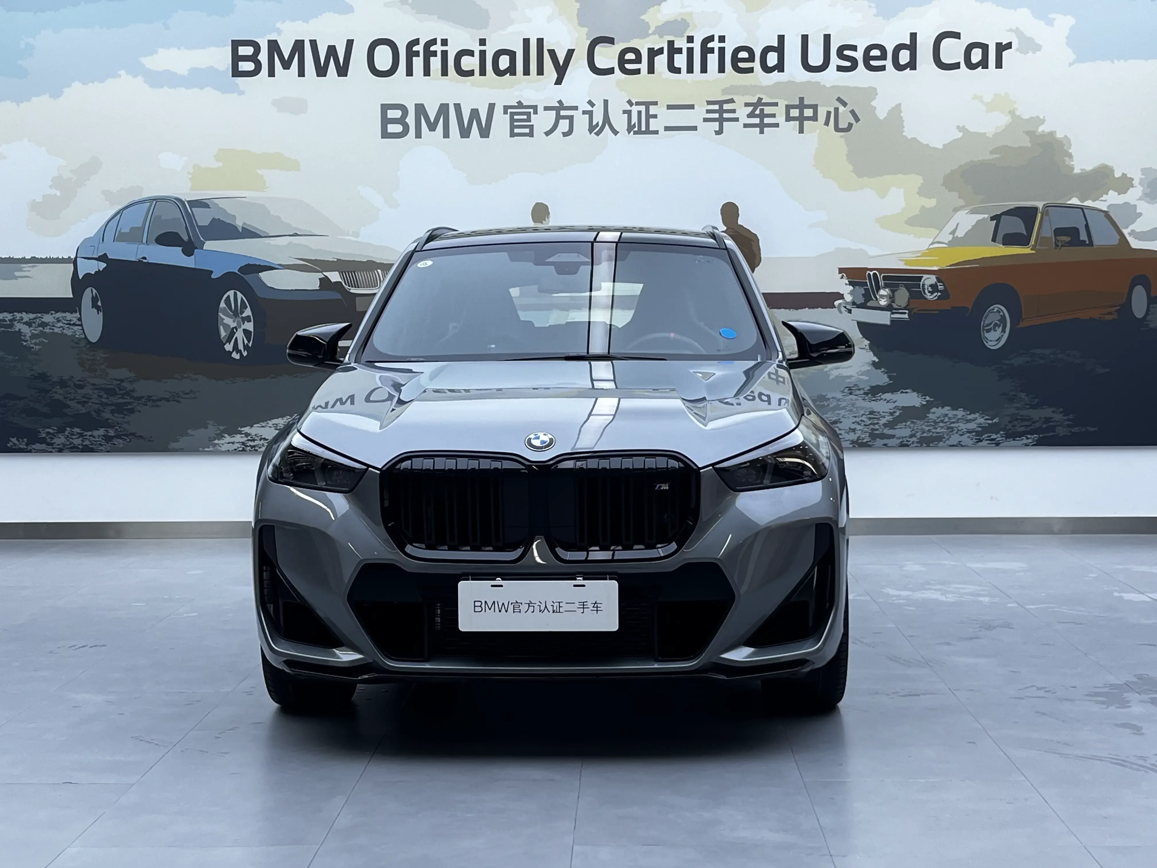 BMW X1