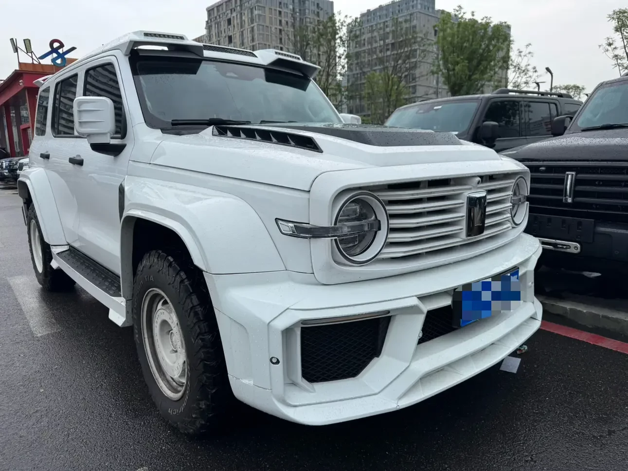 Tank 300