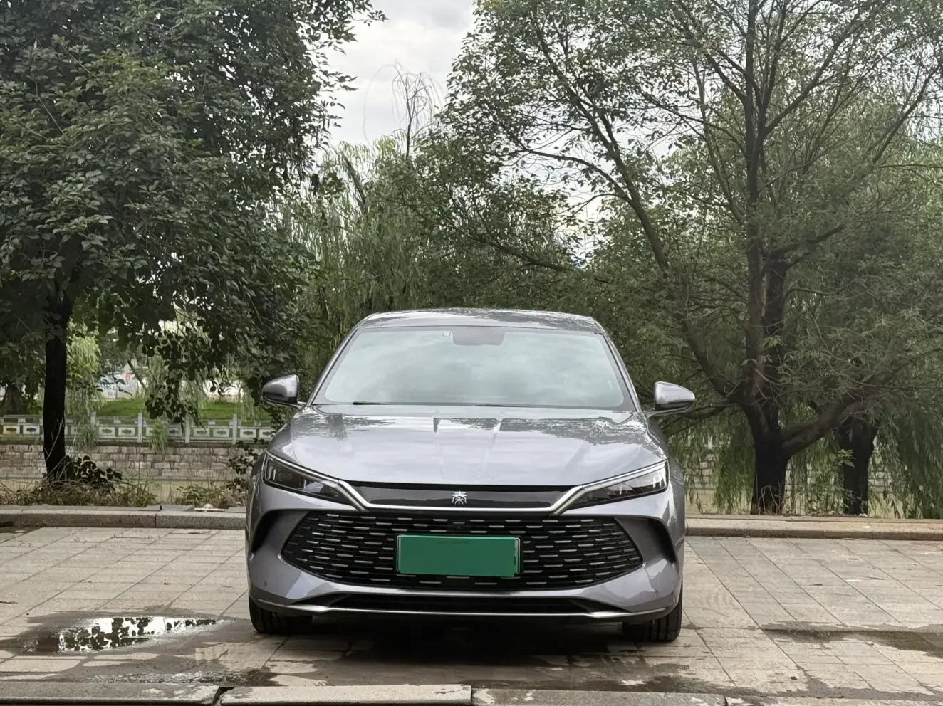 BYD Qin L DM