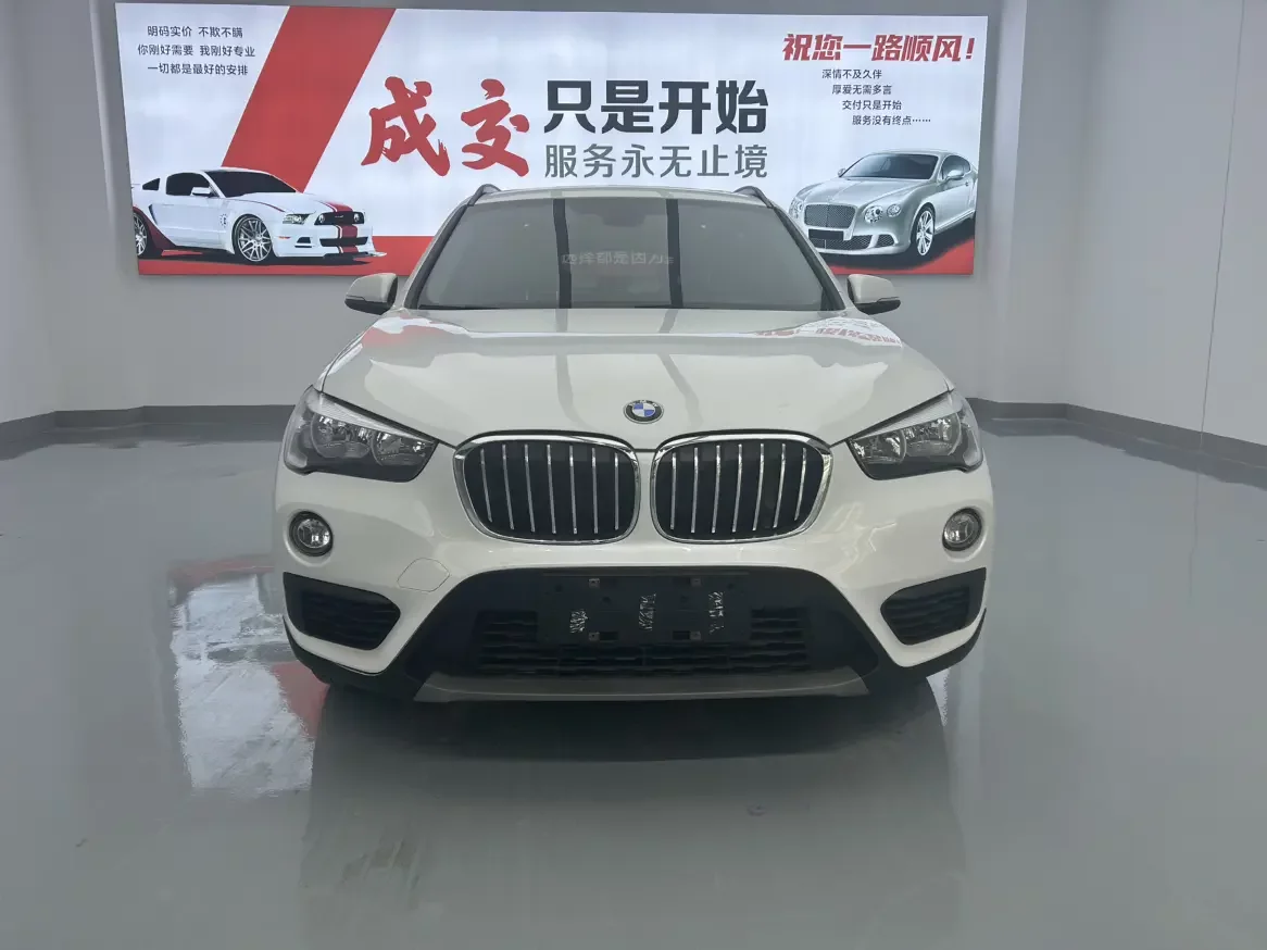 BMW X1
