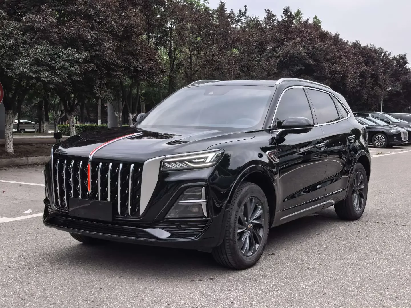 Hongqi HS5