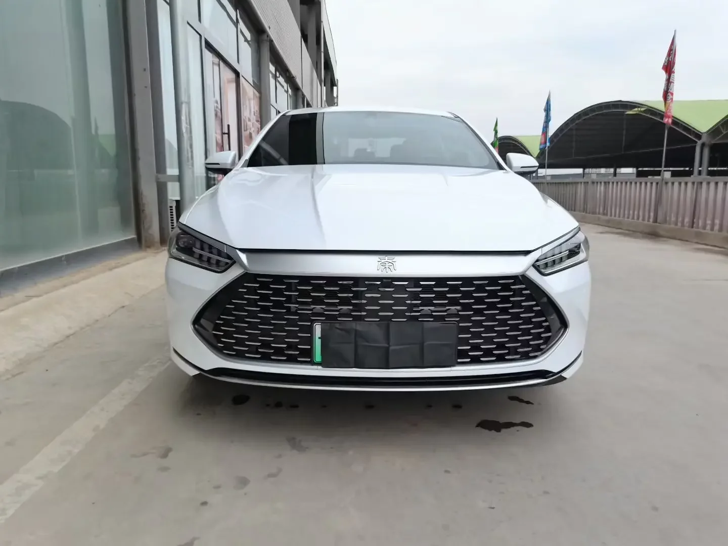 BYD Qin PLUS DM