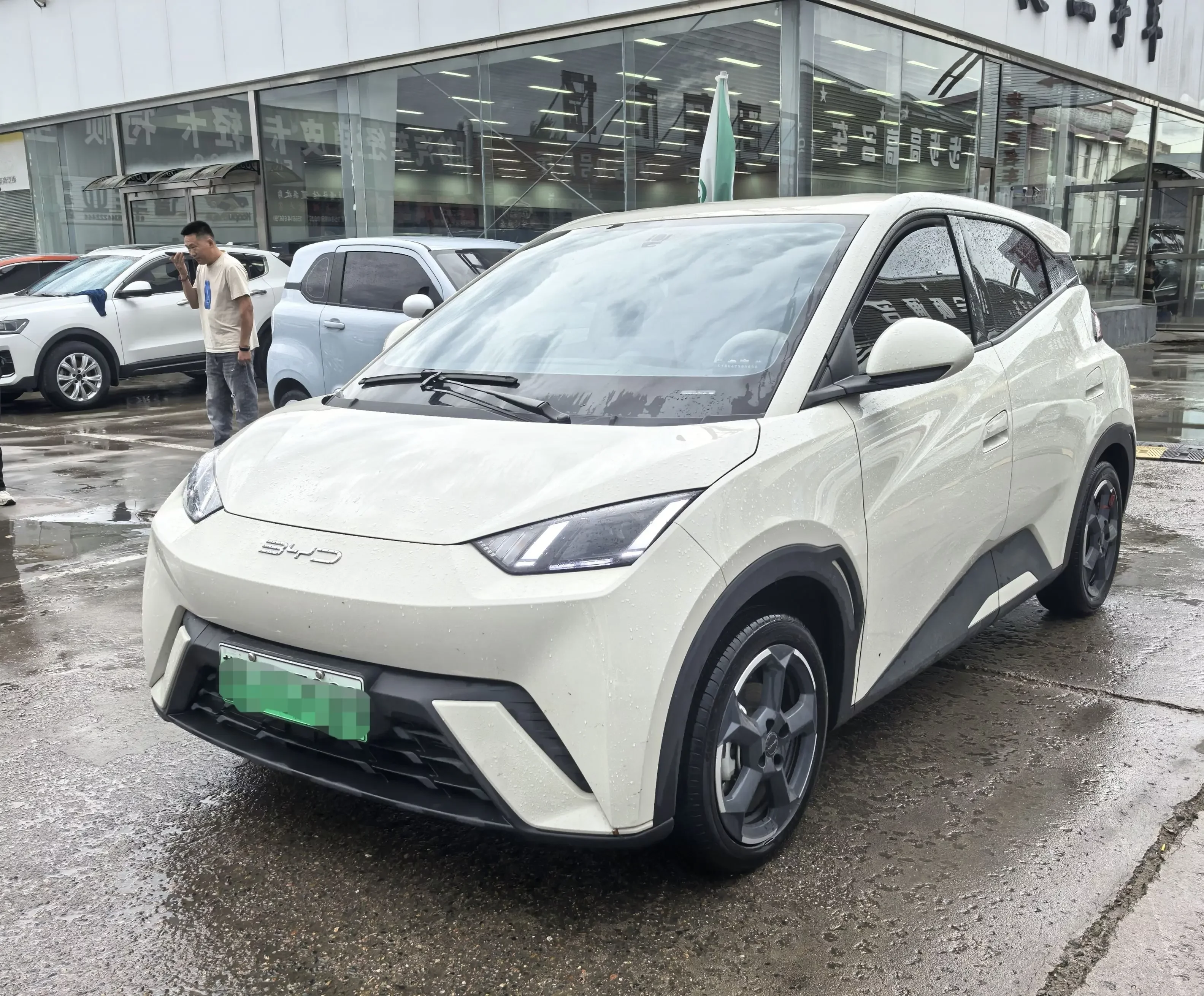 BYD seagull