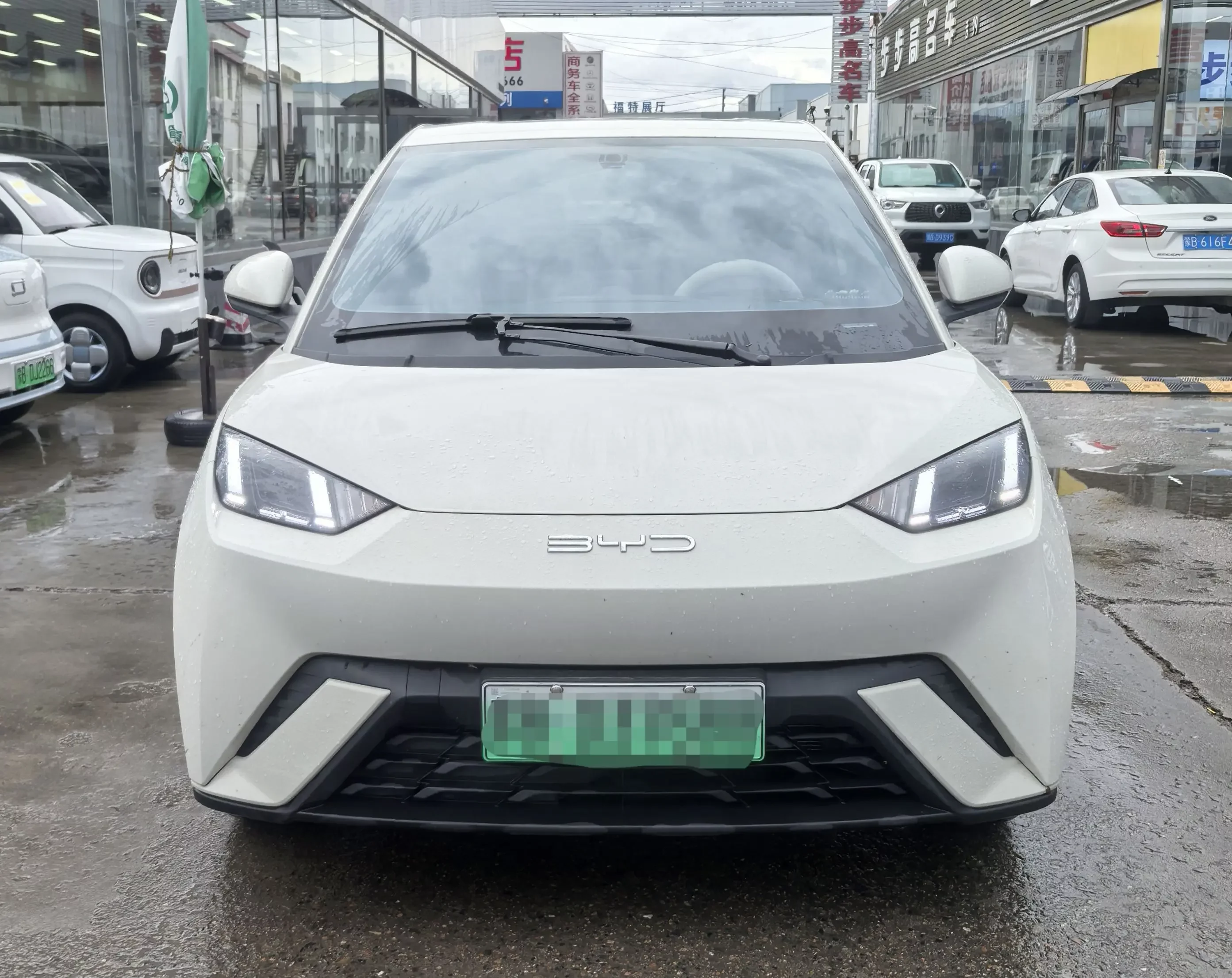 BYD seagull