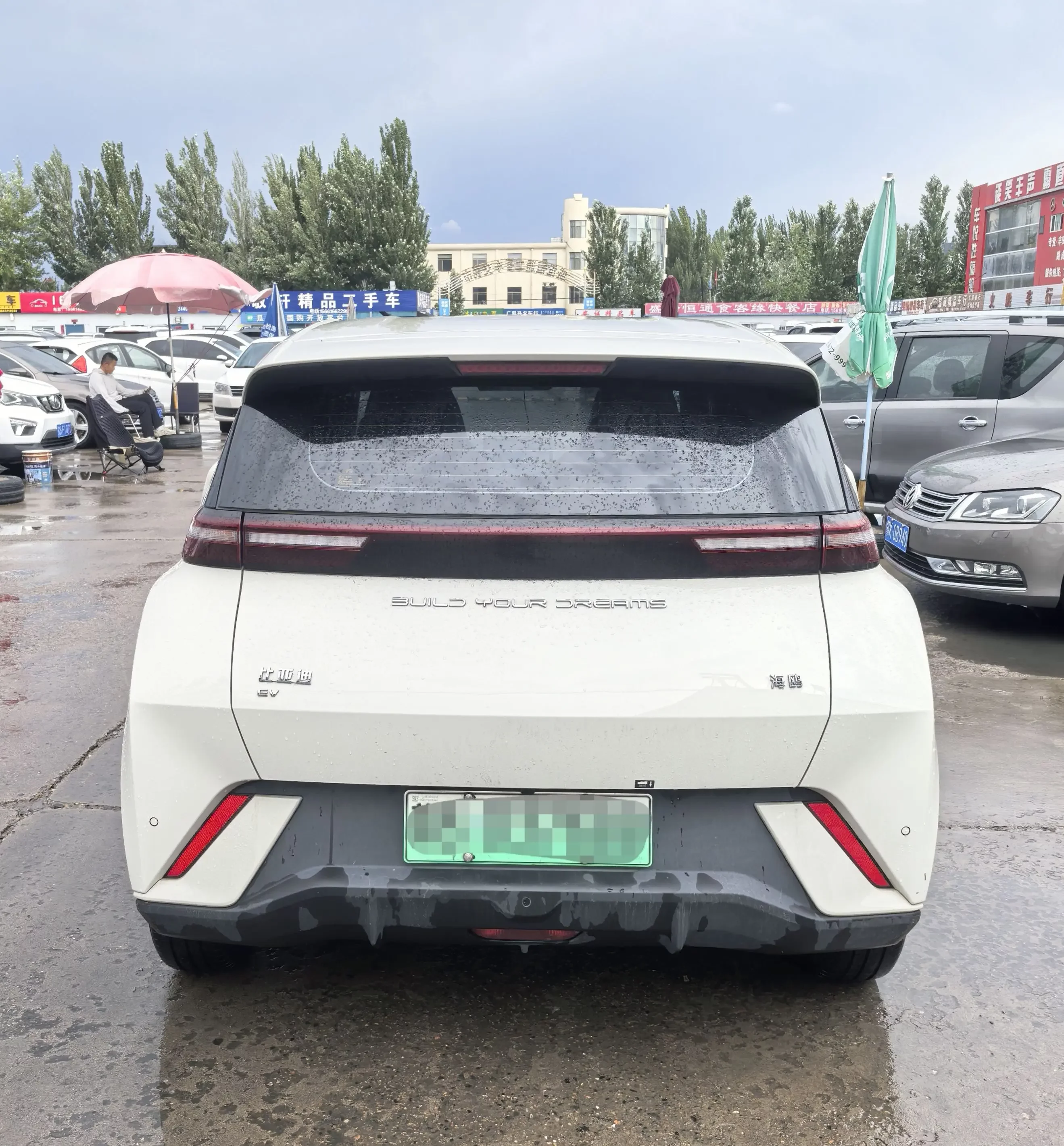 BYD seagull