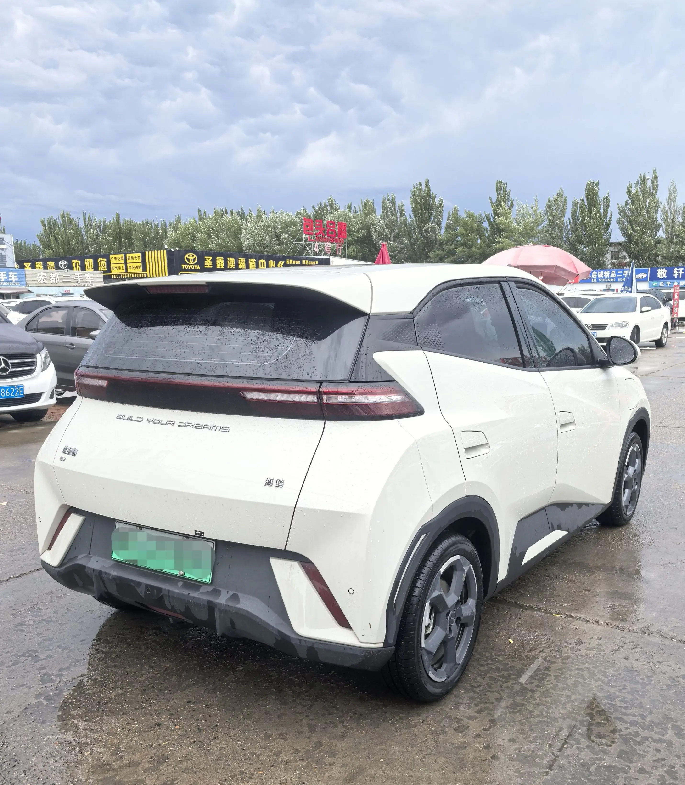 BYD seagull