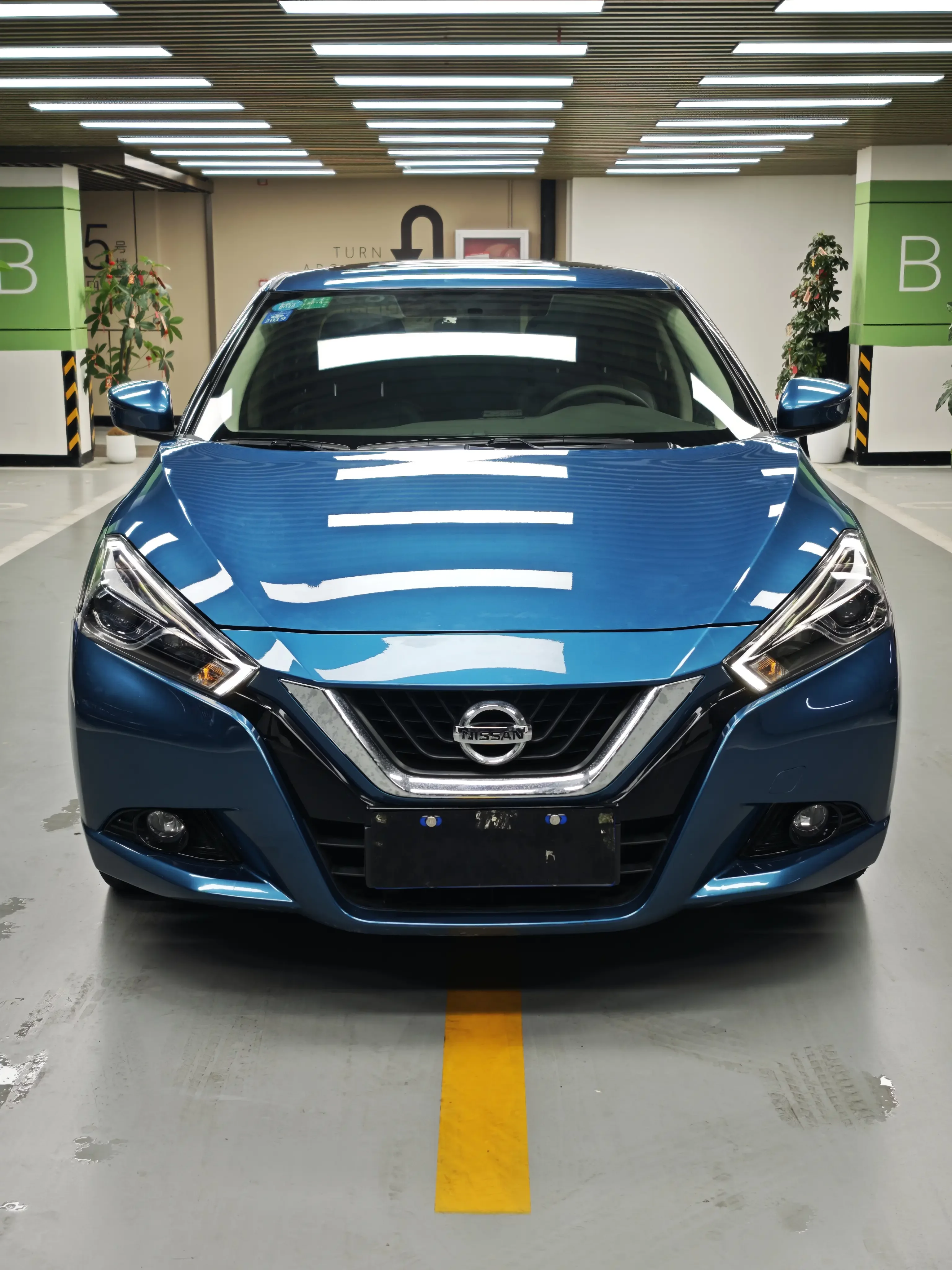 Nissan bluebird  из Китая