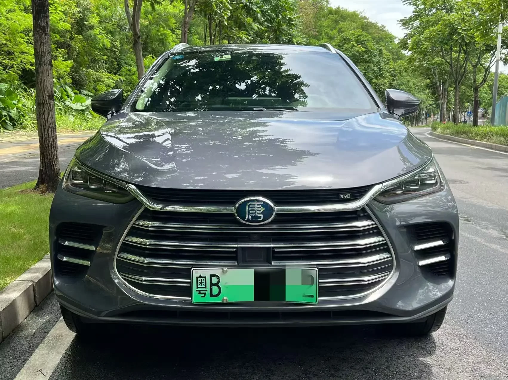 BYD Tang DM
