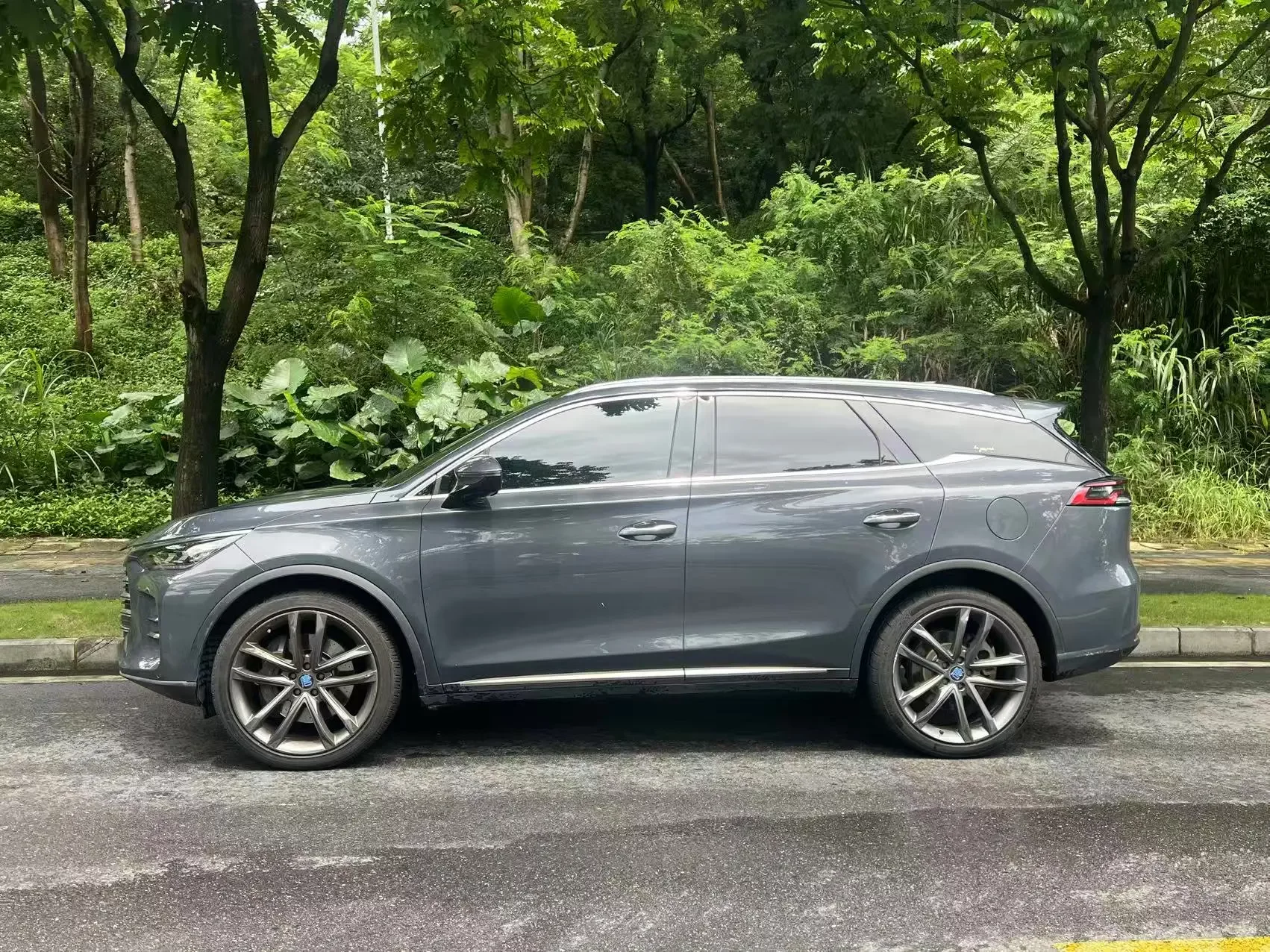 BYD Tang DM