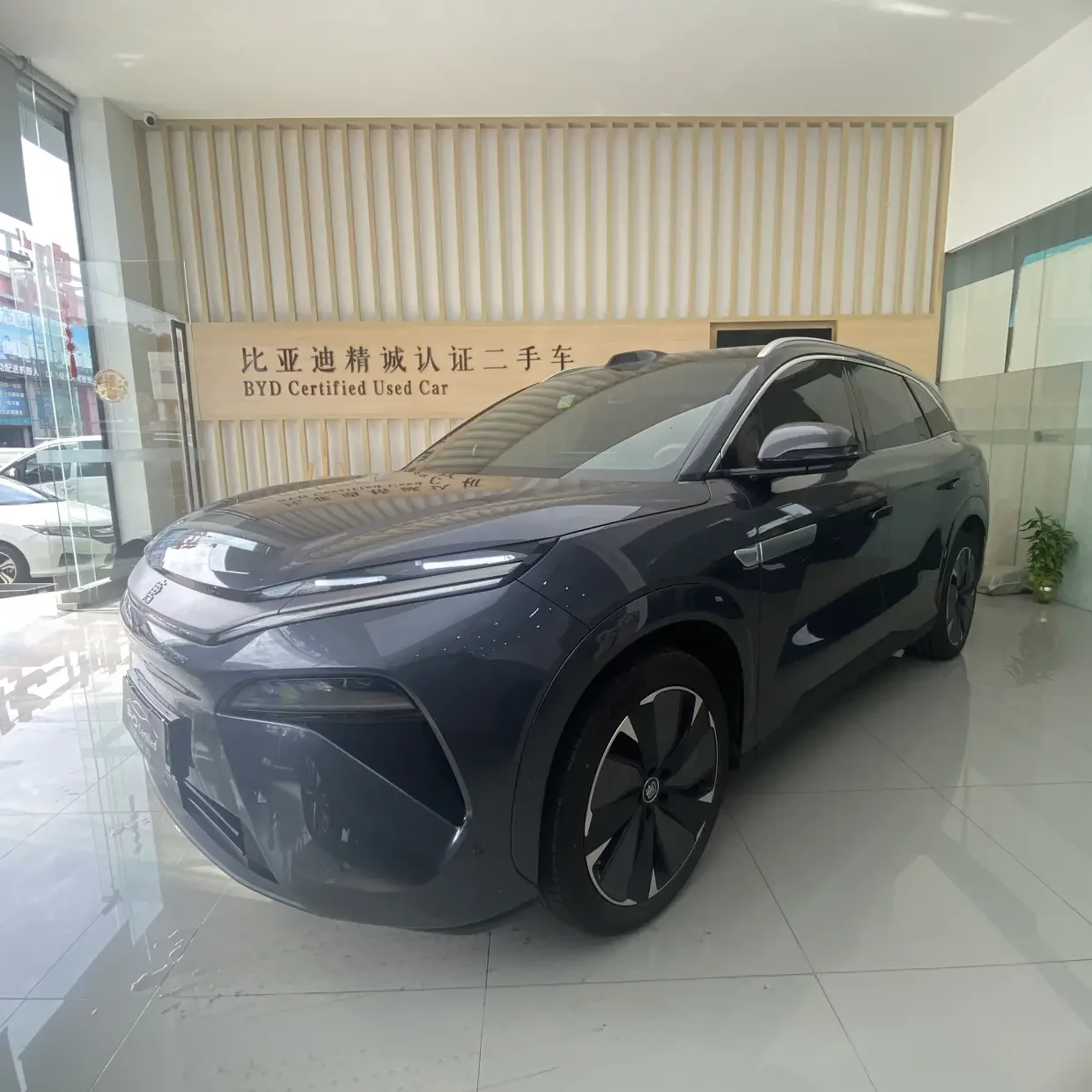 BYD Tang L EV
