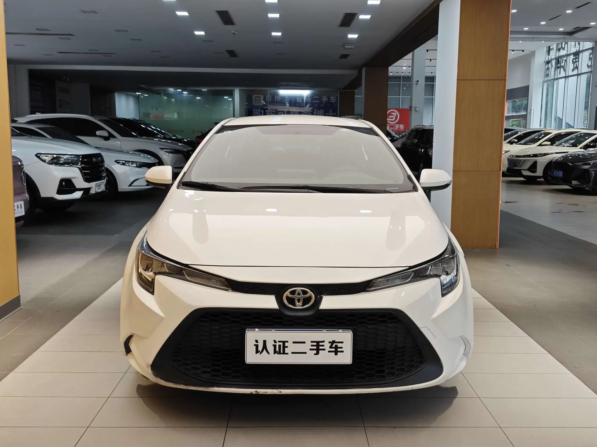 Toyota Levin