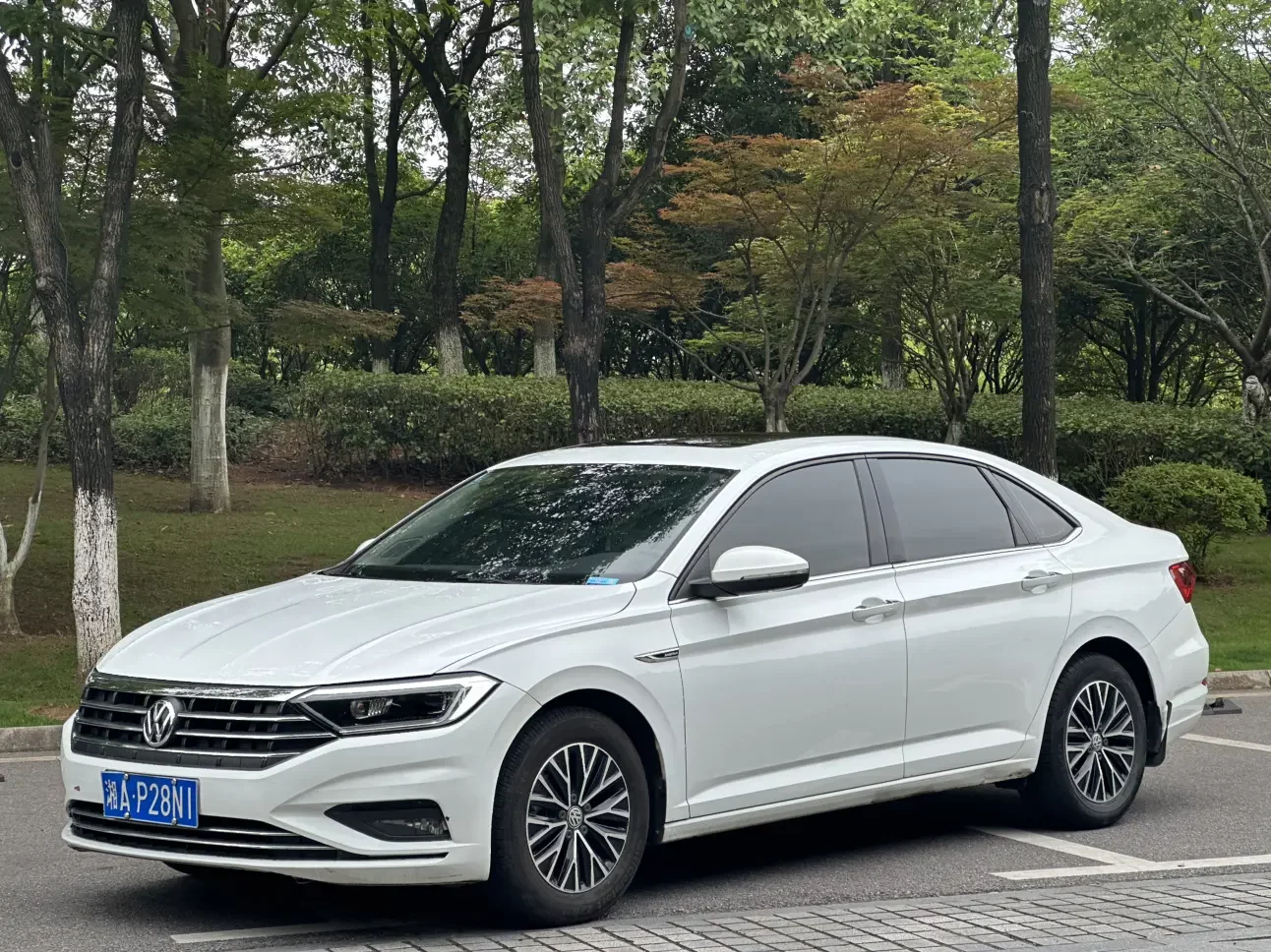 Volkswagen Sagitar