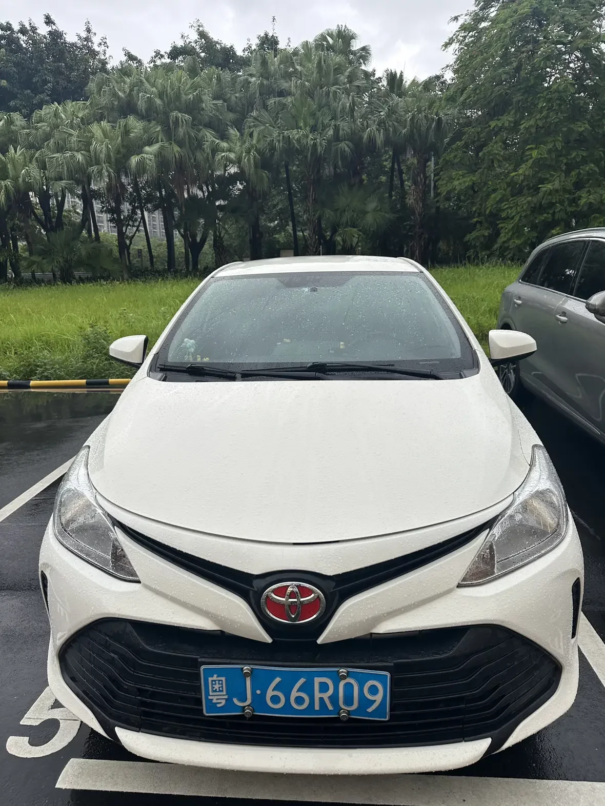 Toyota Vios