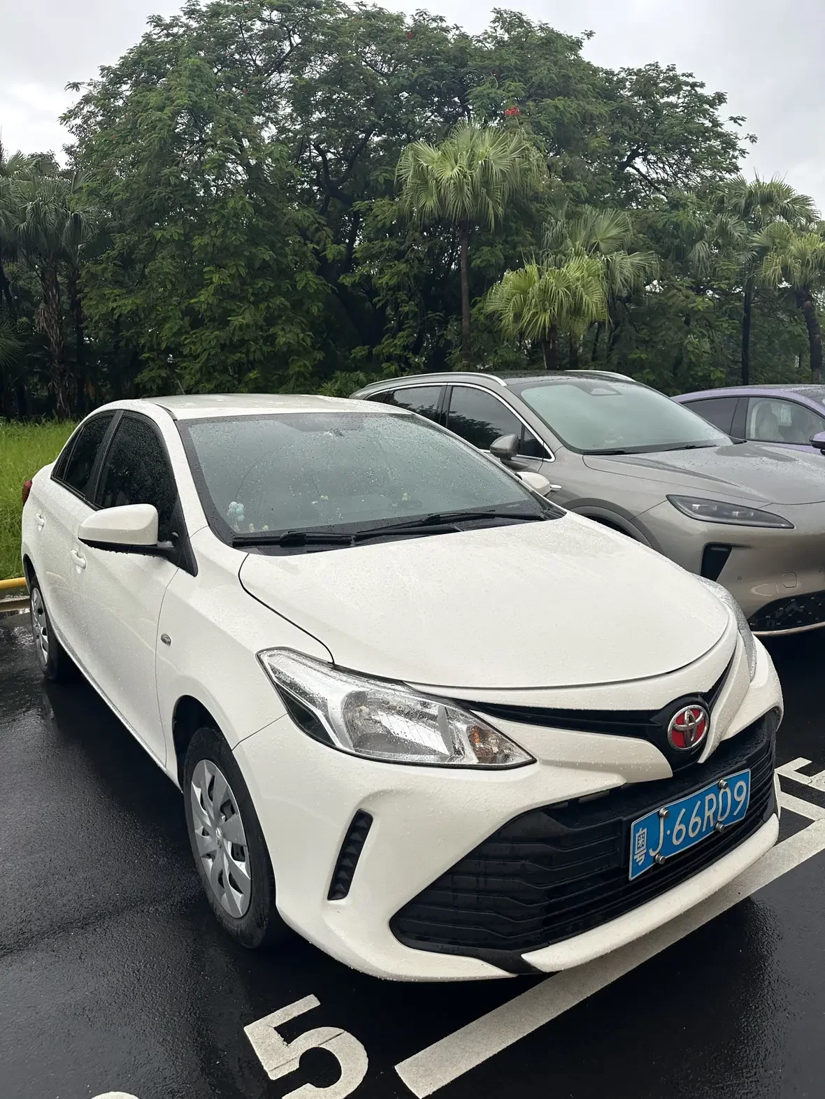 Toyota Vios