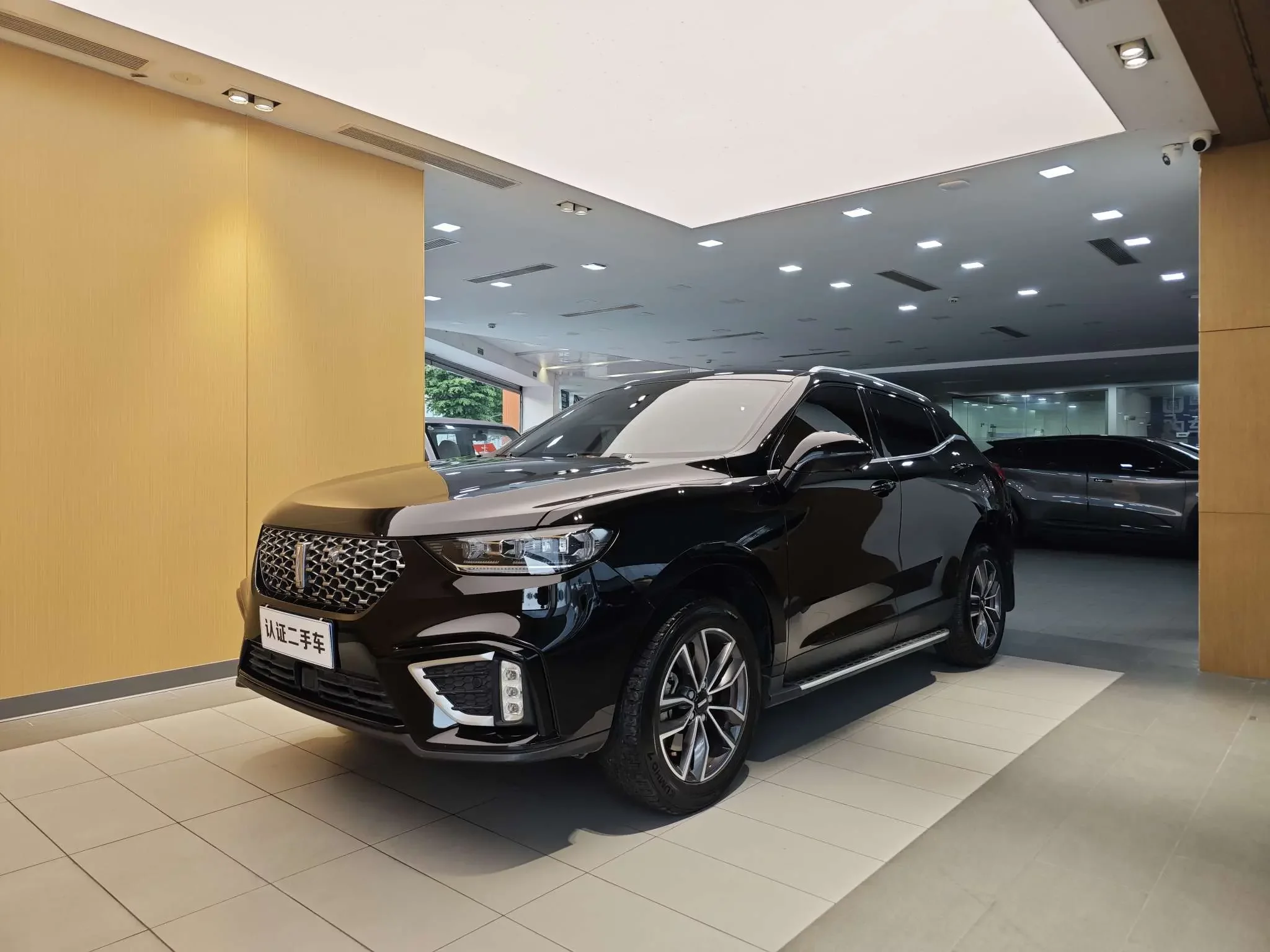 Wey Wei brand VV5