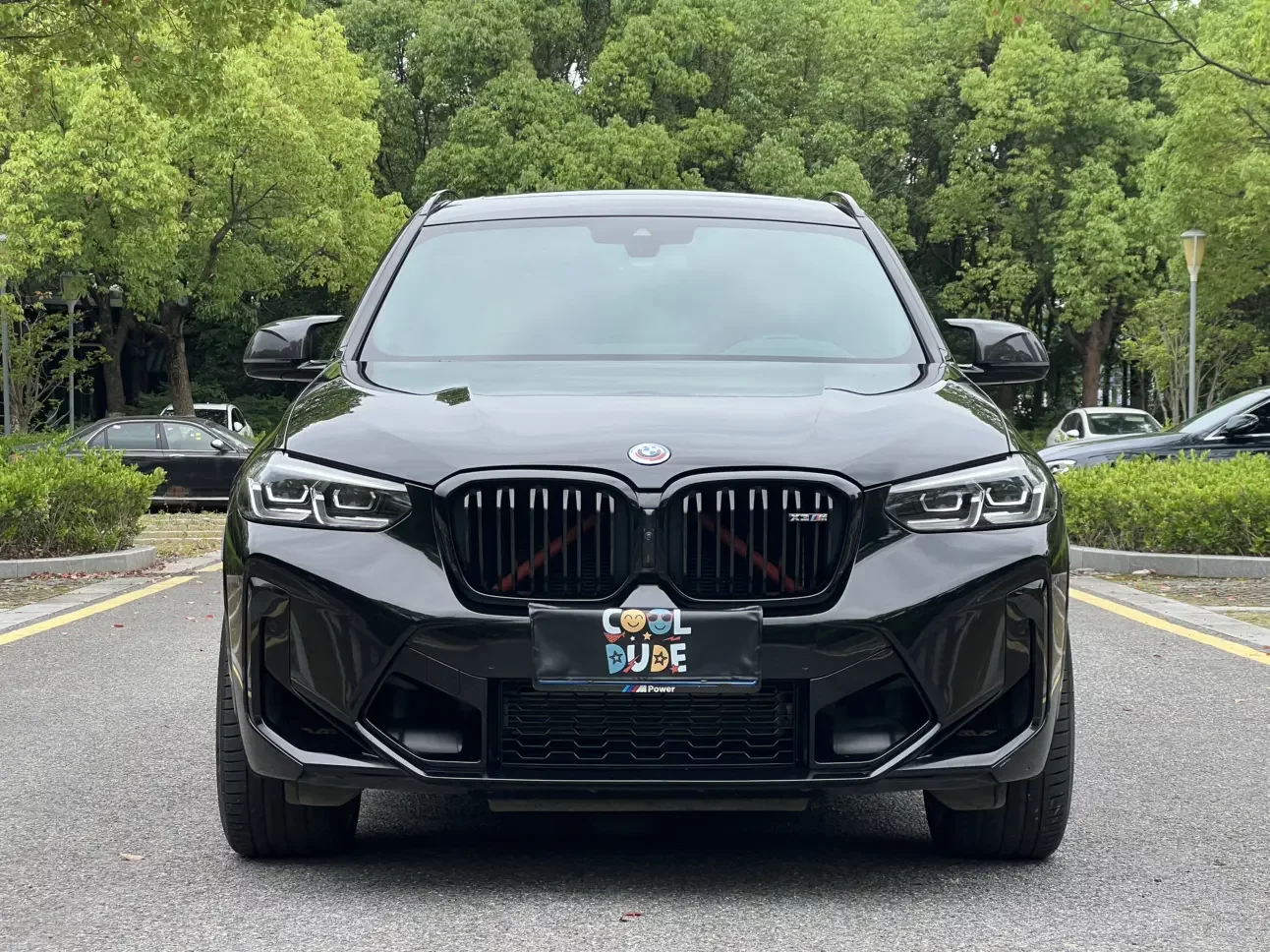 BMW X3 M