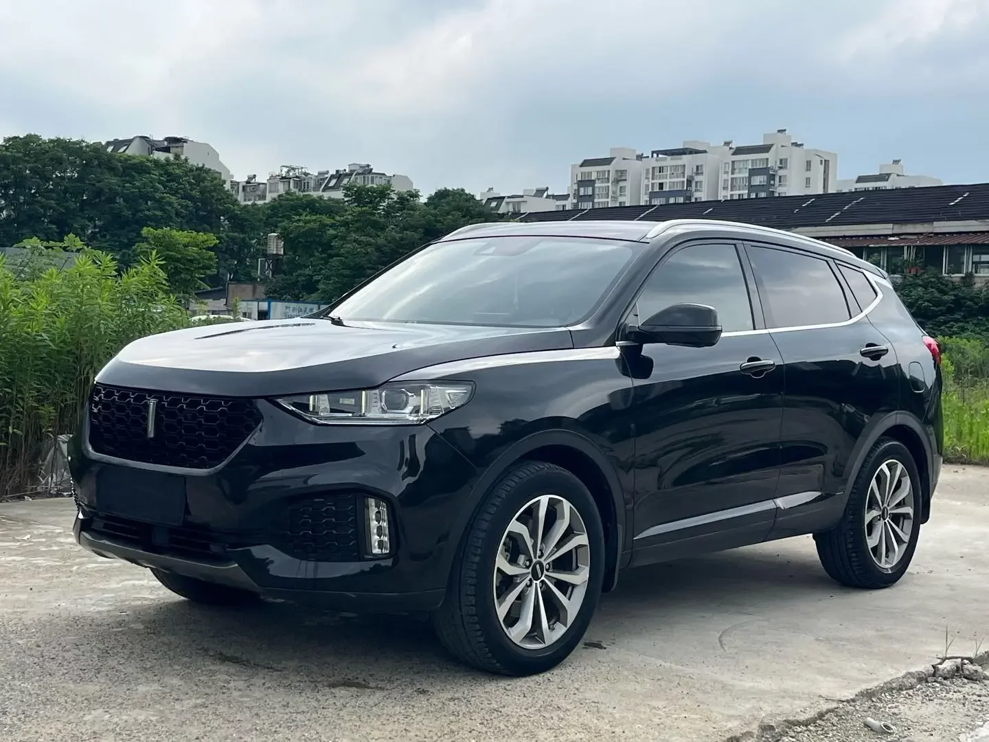 Wey Wei brand VV6