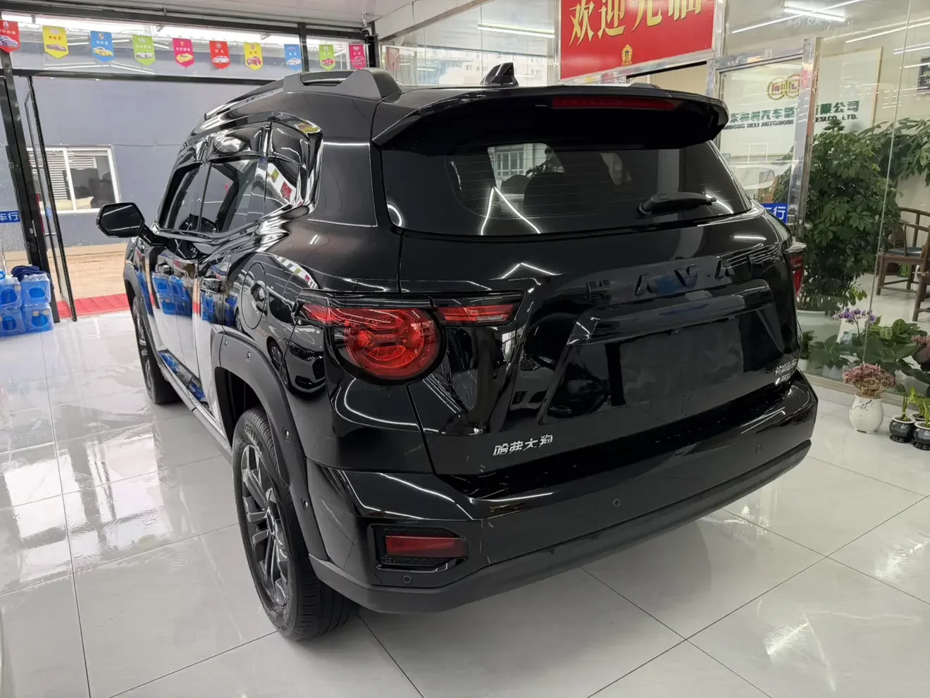 Haval H-Dog