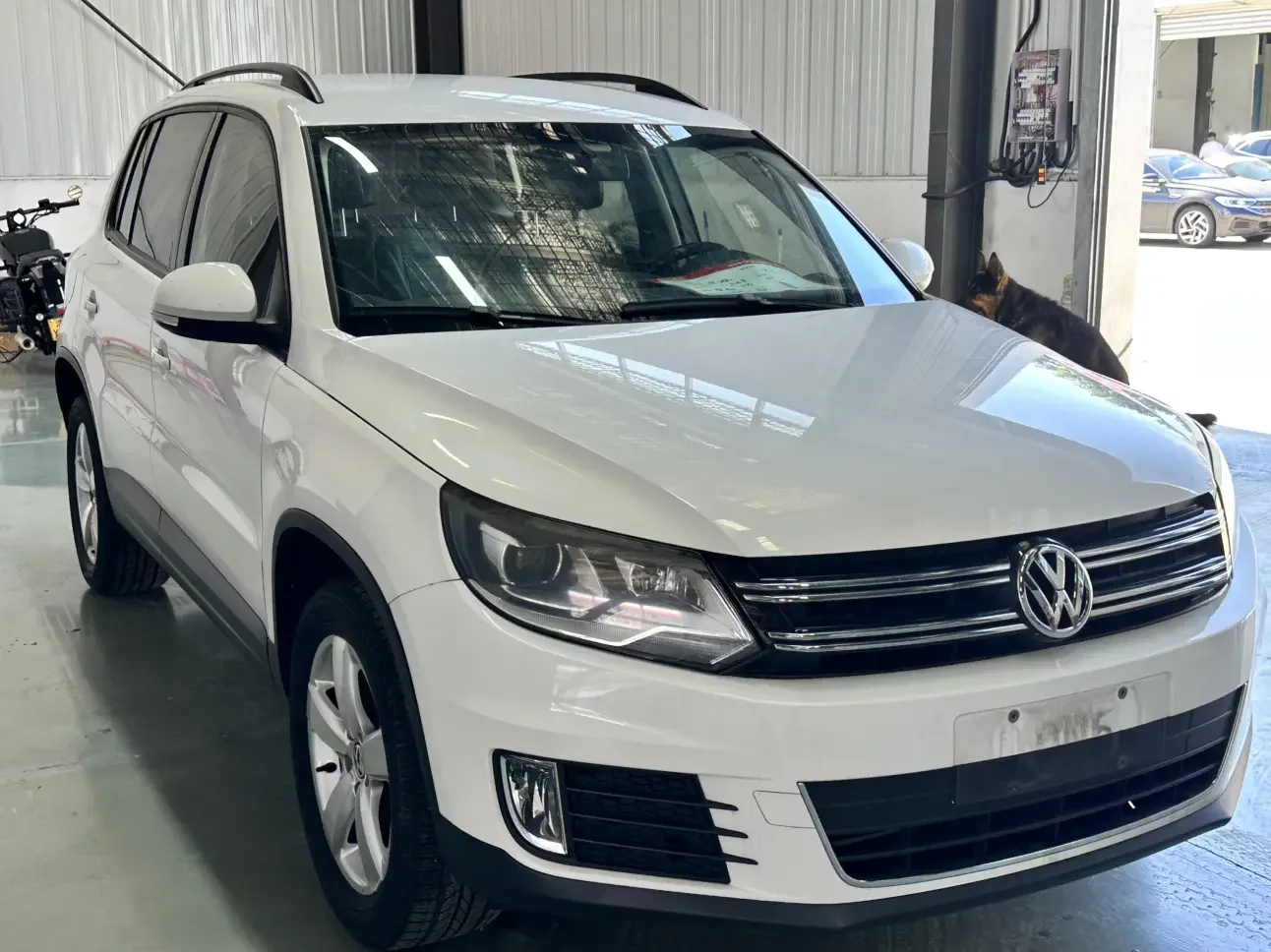 Volkswagen Tiguan (Tharu)